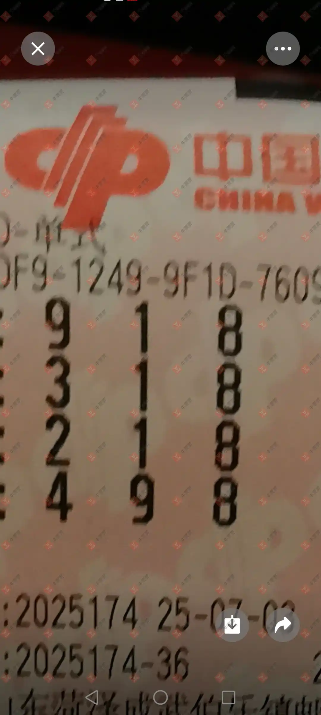 牛票票