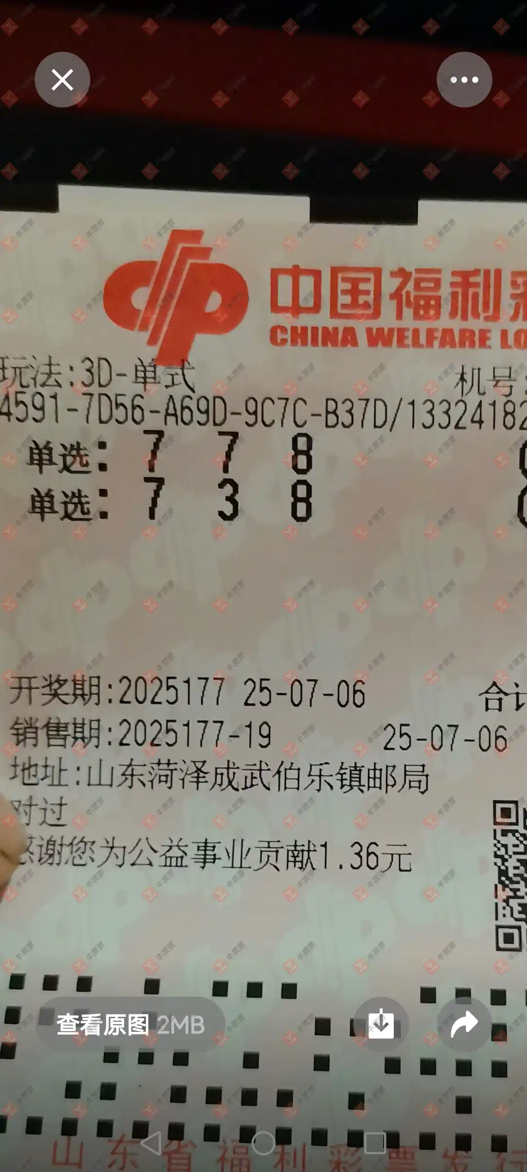 牛票票