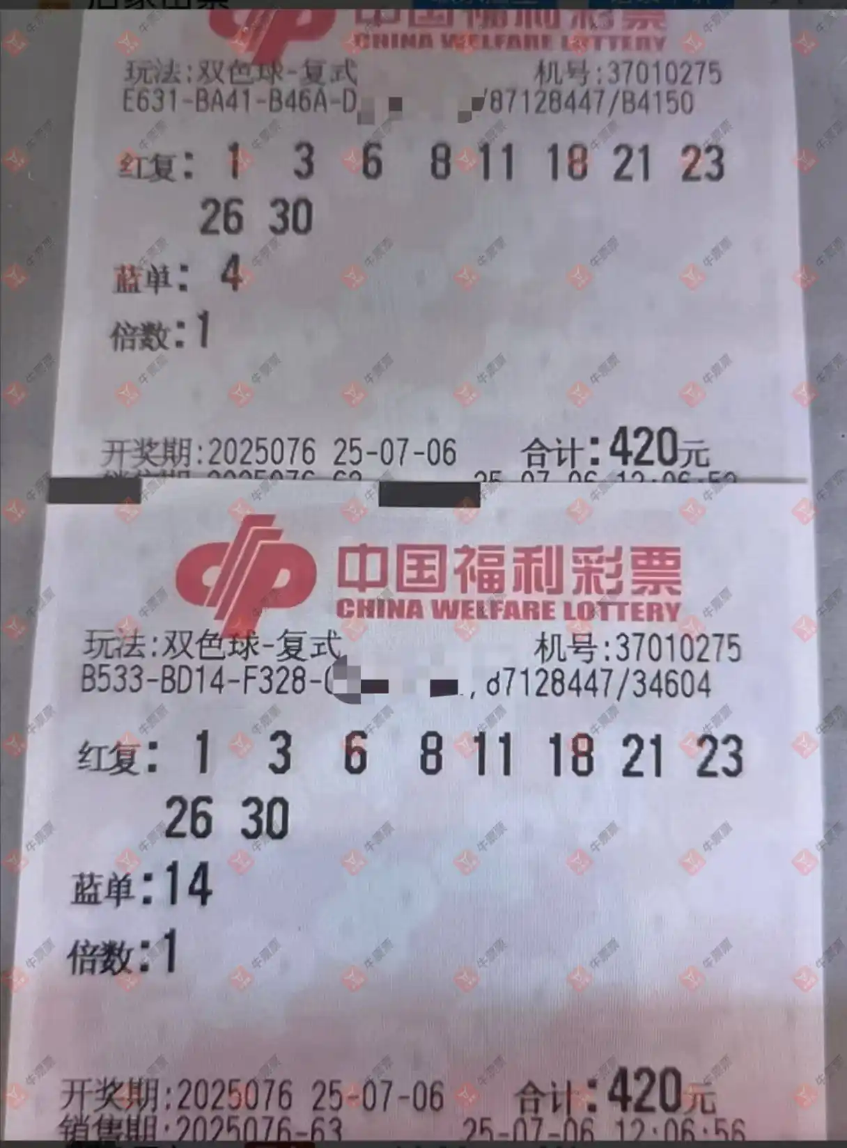 牛票票