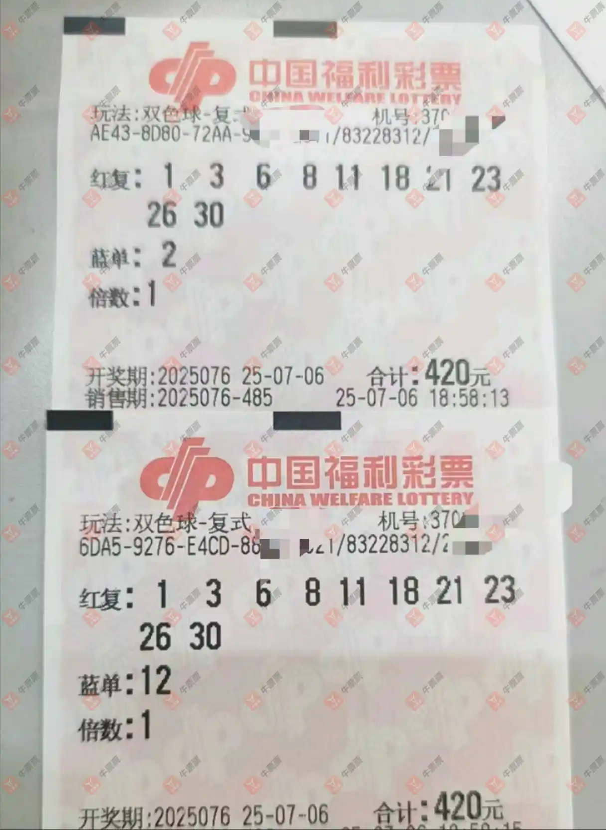 牛票票