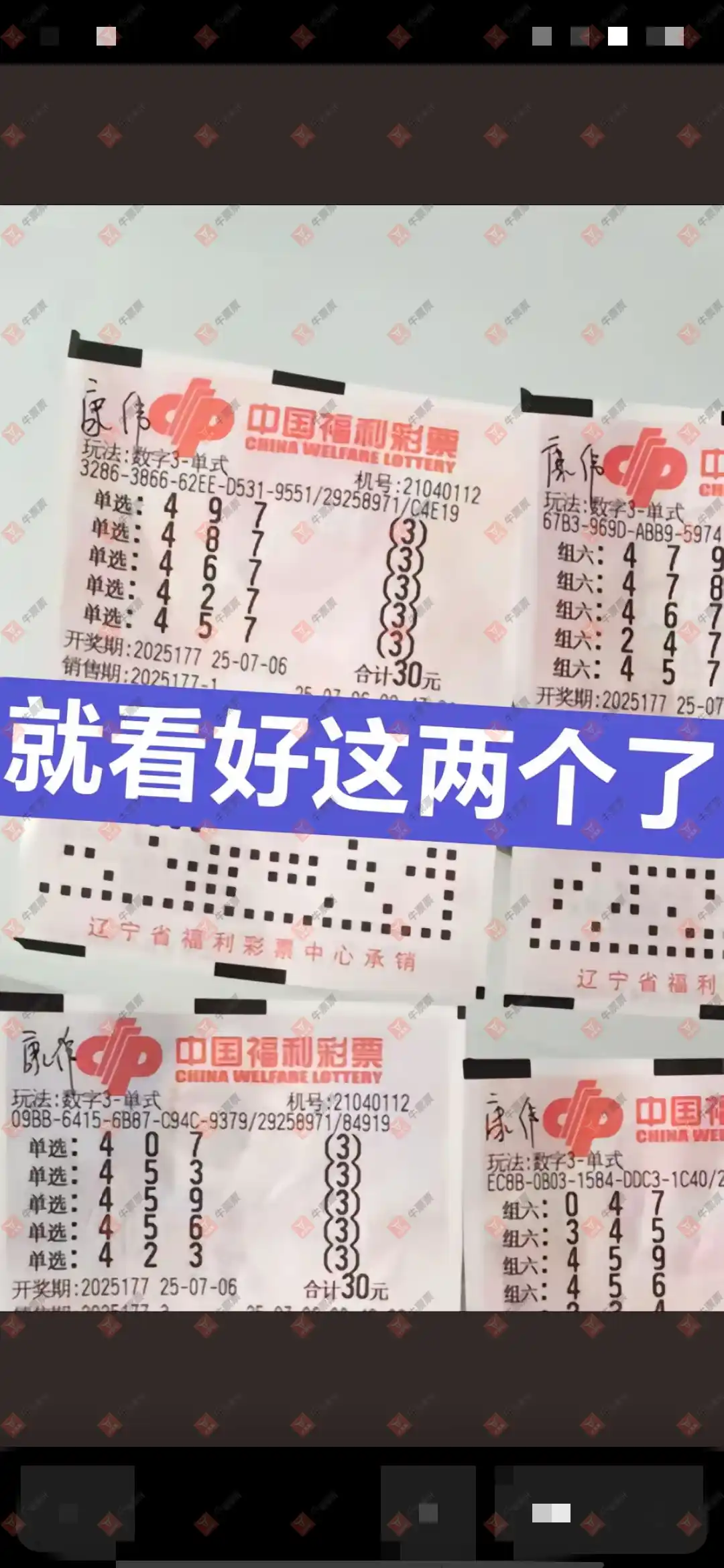牛票票