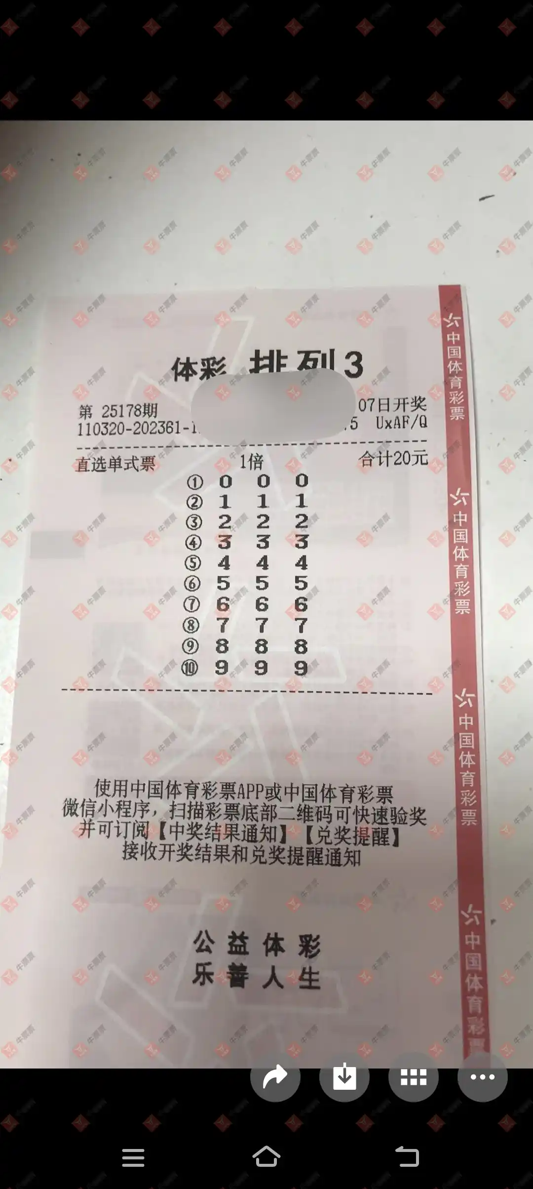 牛票票