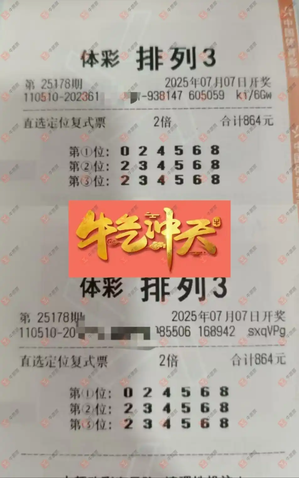 牛票票