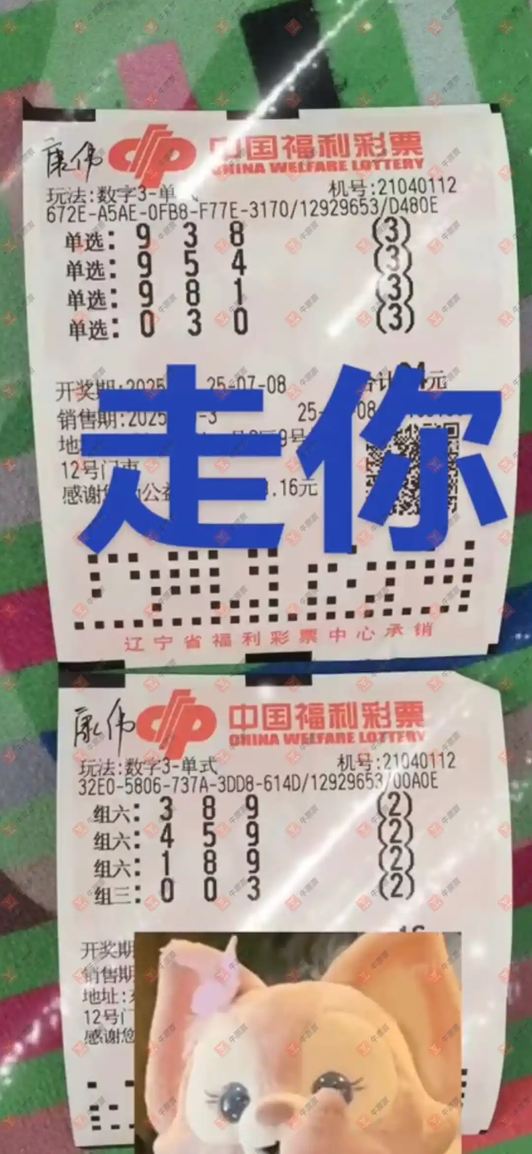 牛票票