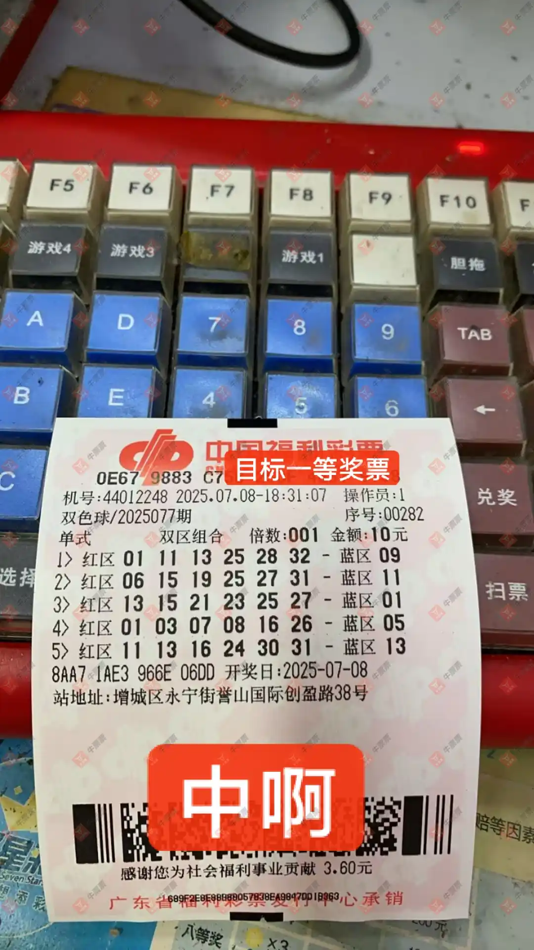 牛票票