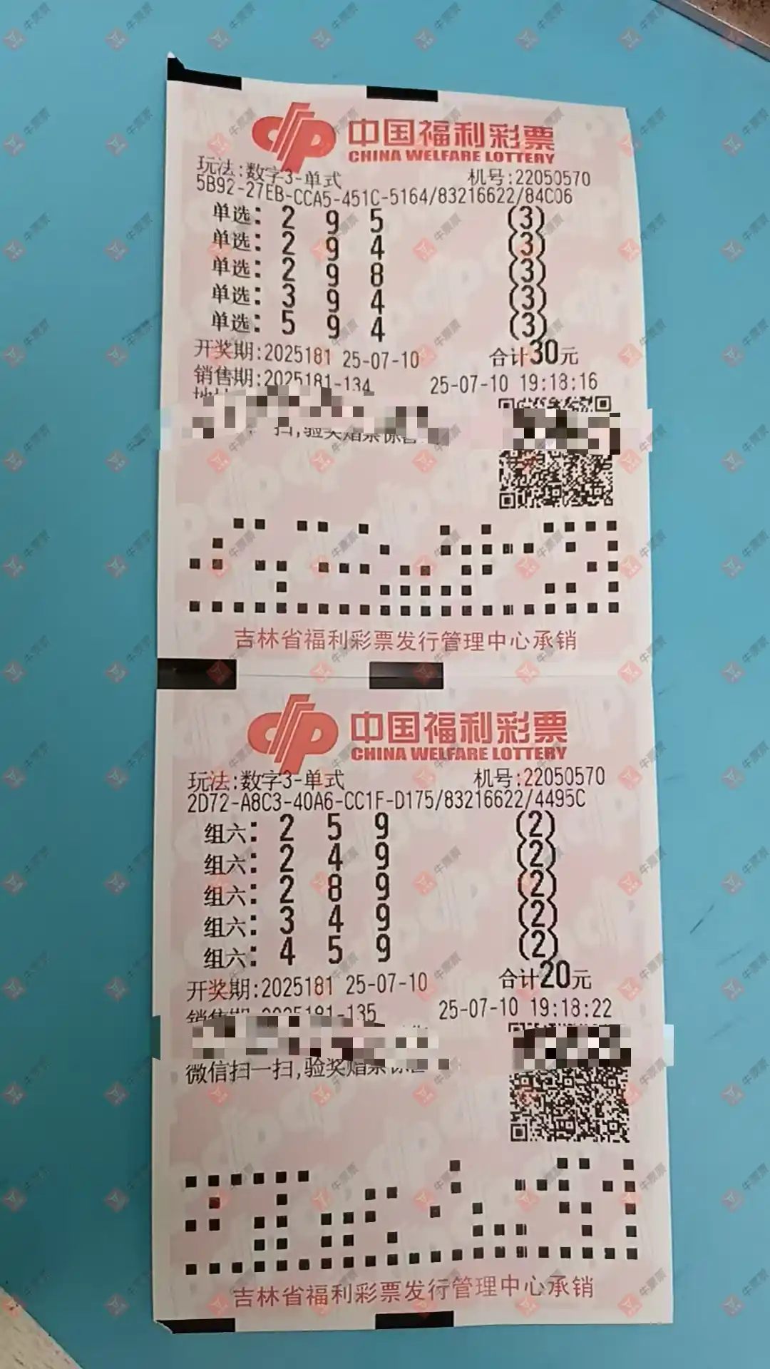 牛票票