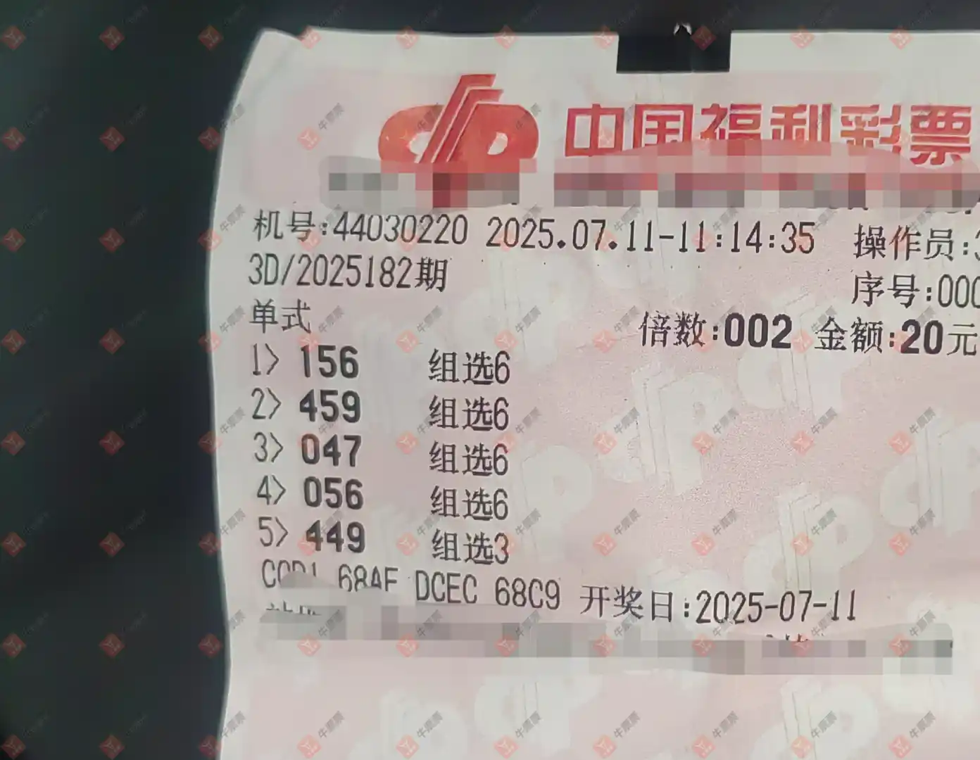 牛票票