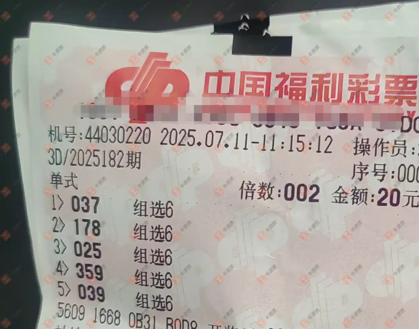 牛票票