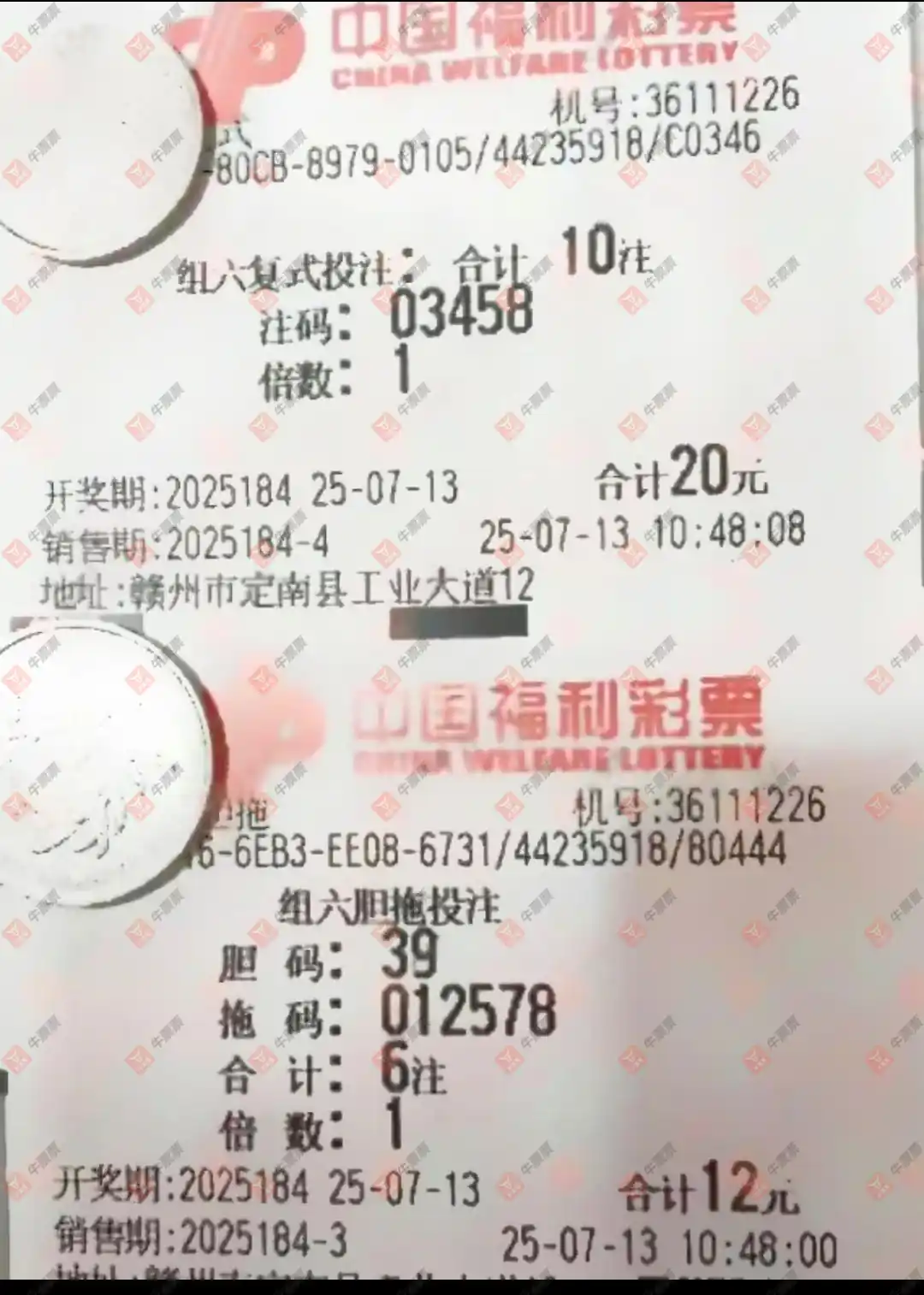 牛票票