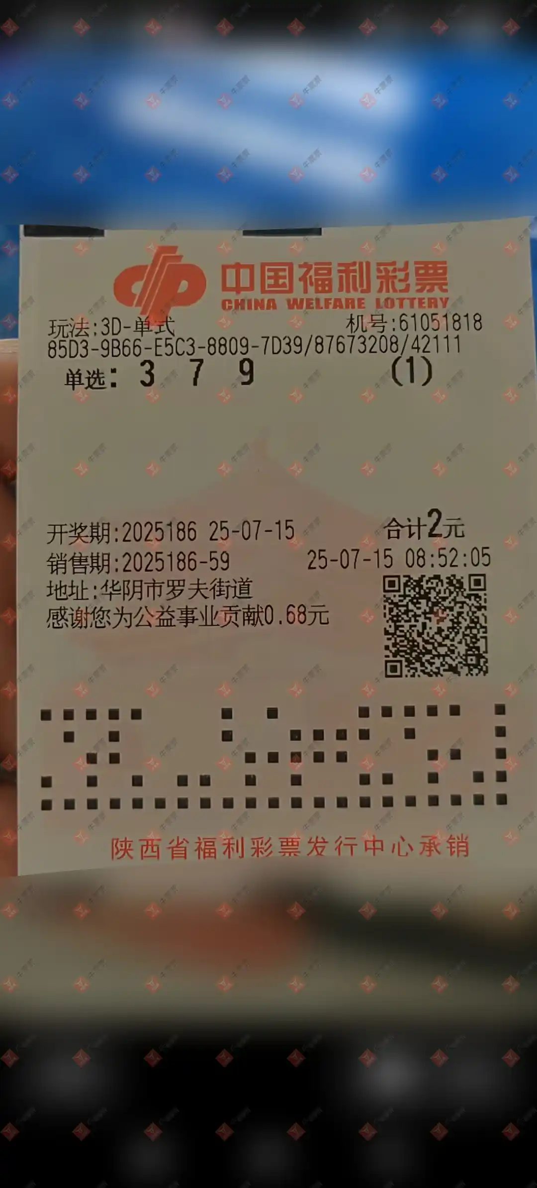 牛票票
