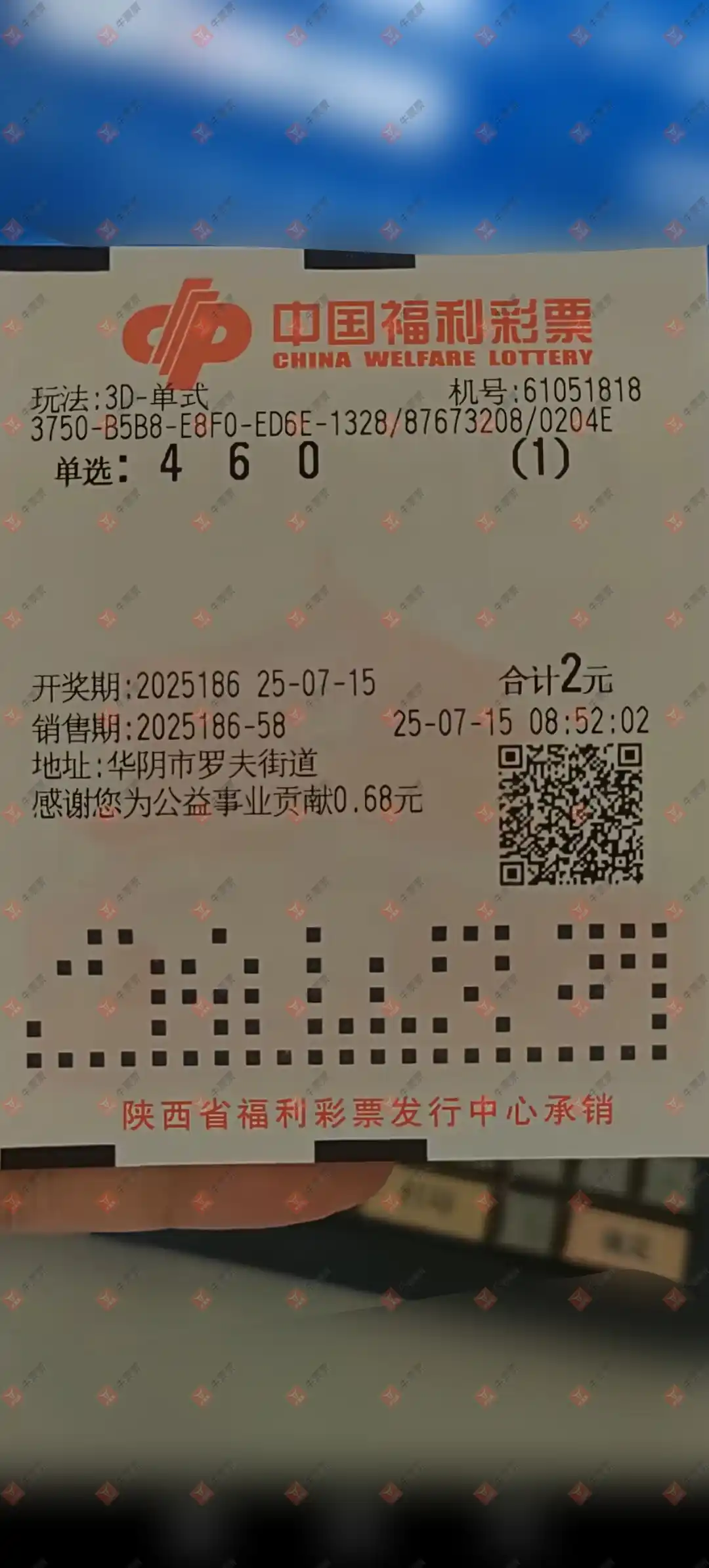 牛票票