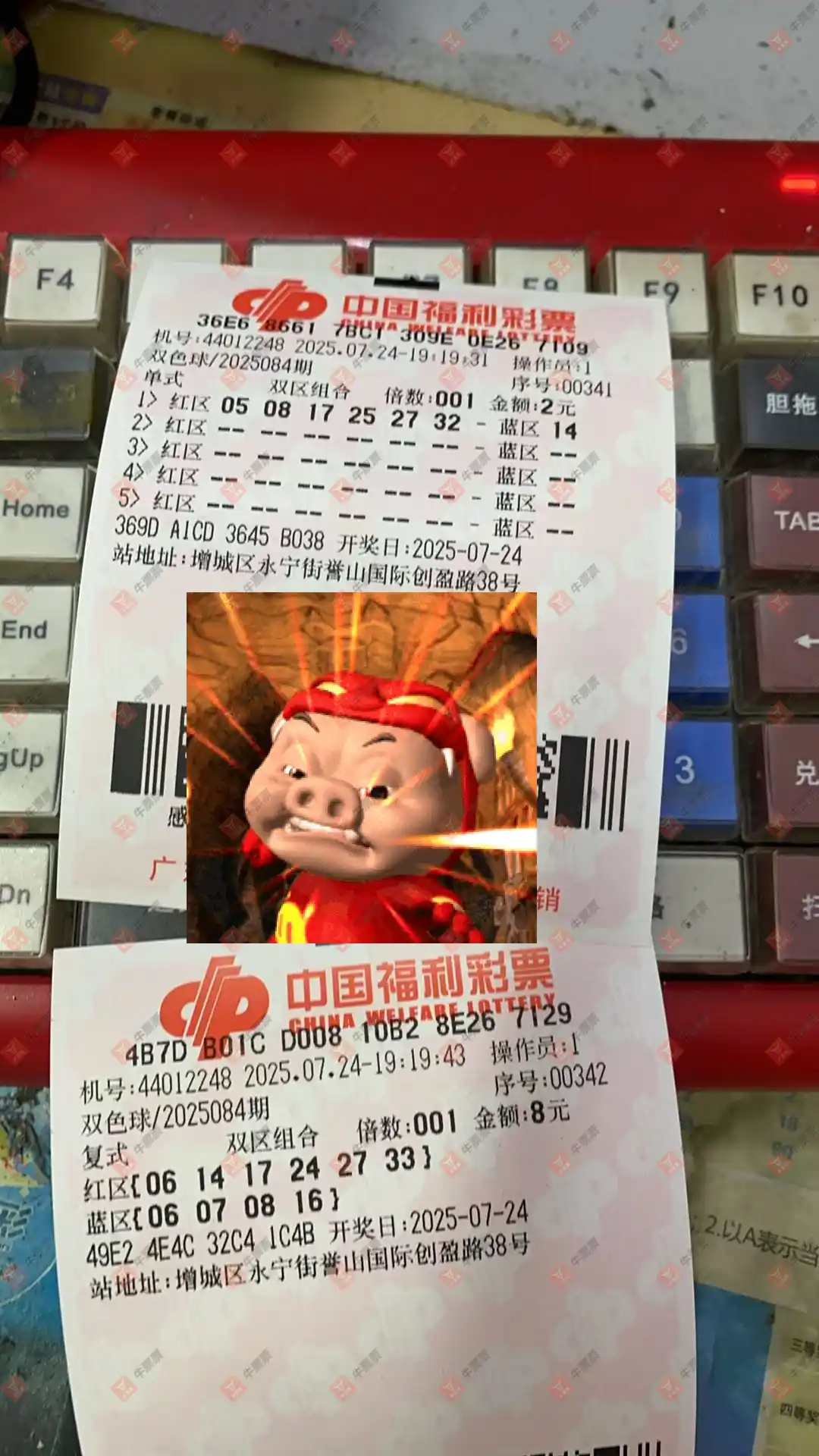 牛票票