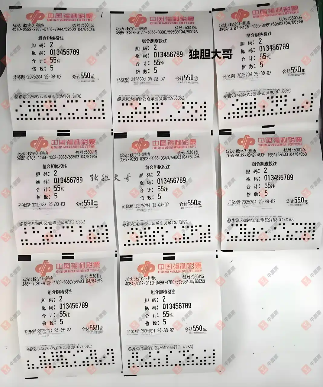 牛票票