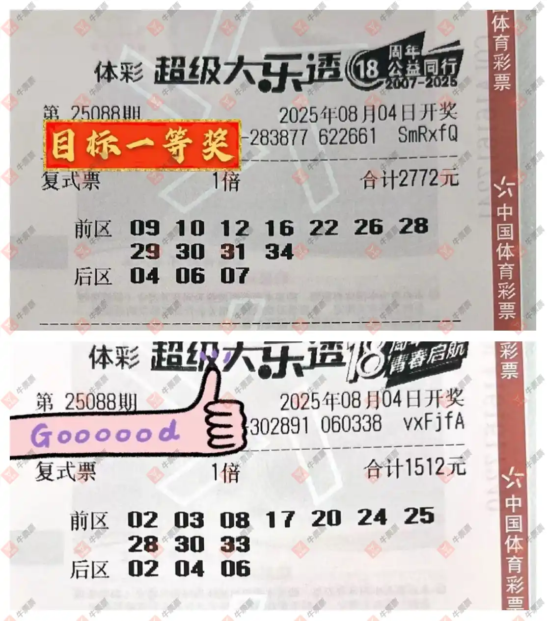 牛票票