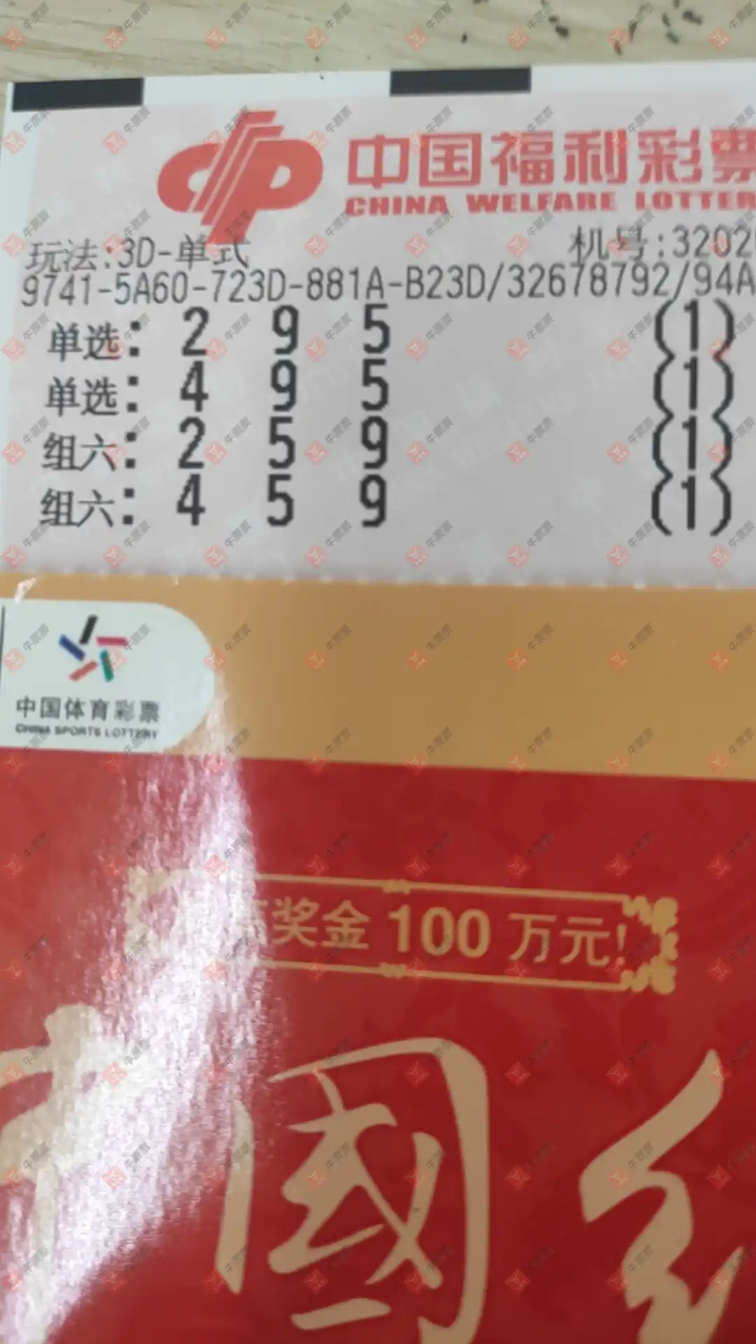 牛票票