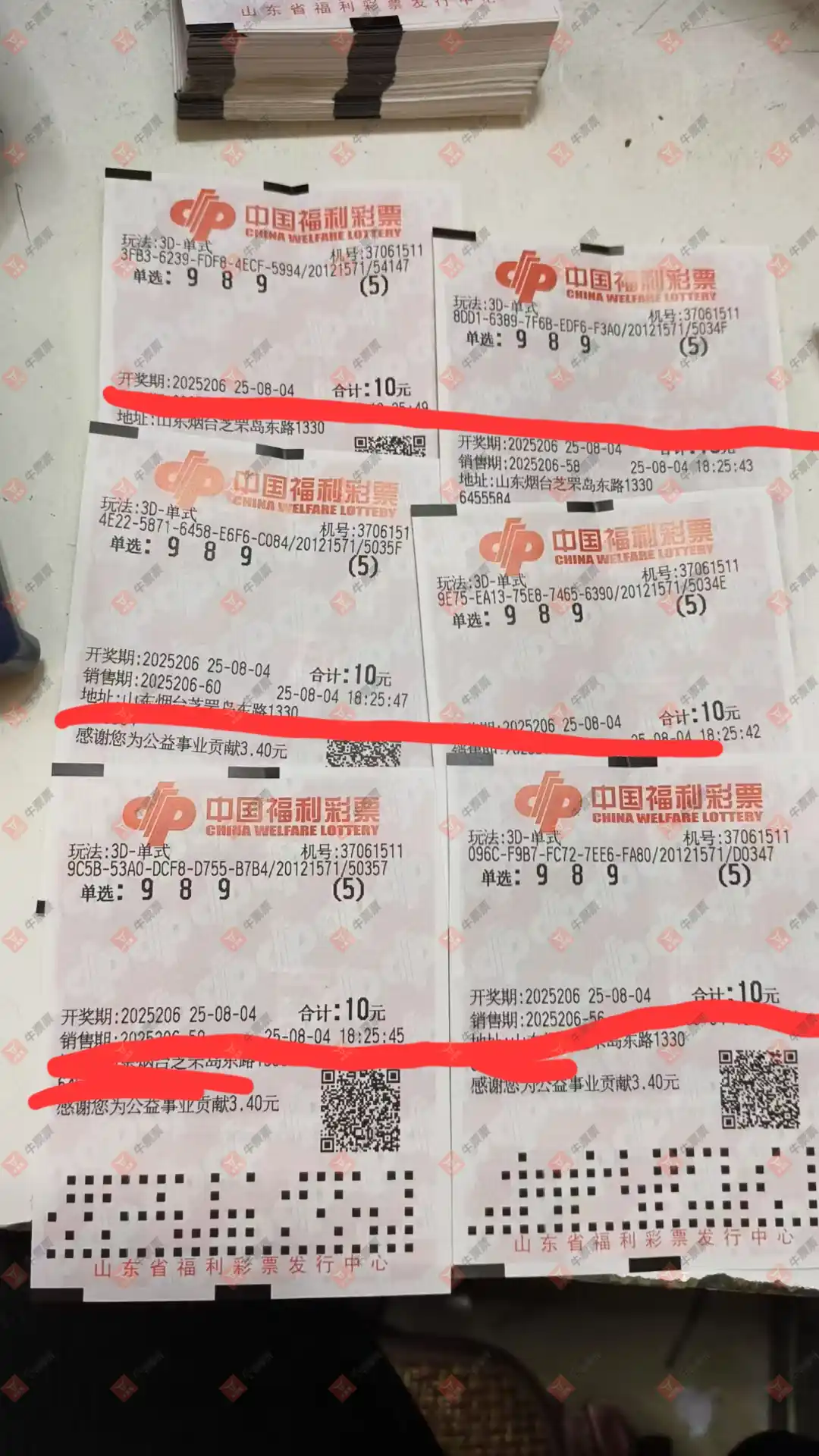 牛票票