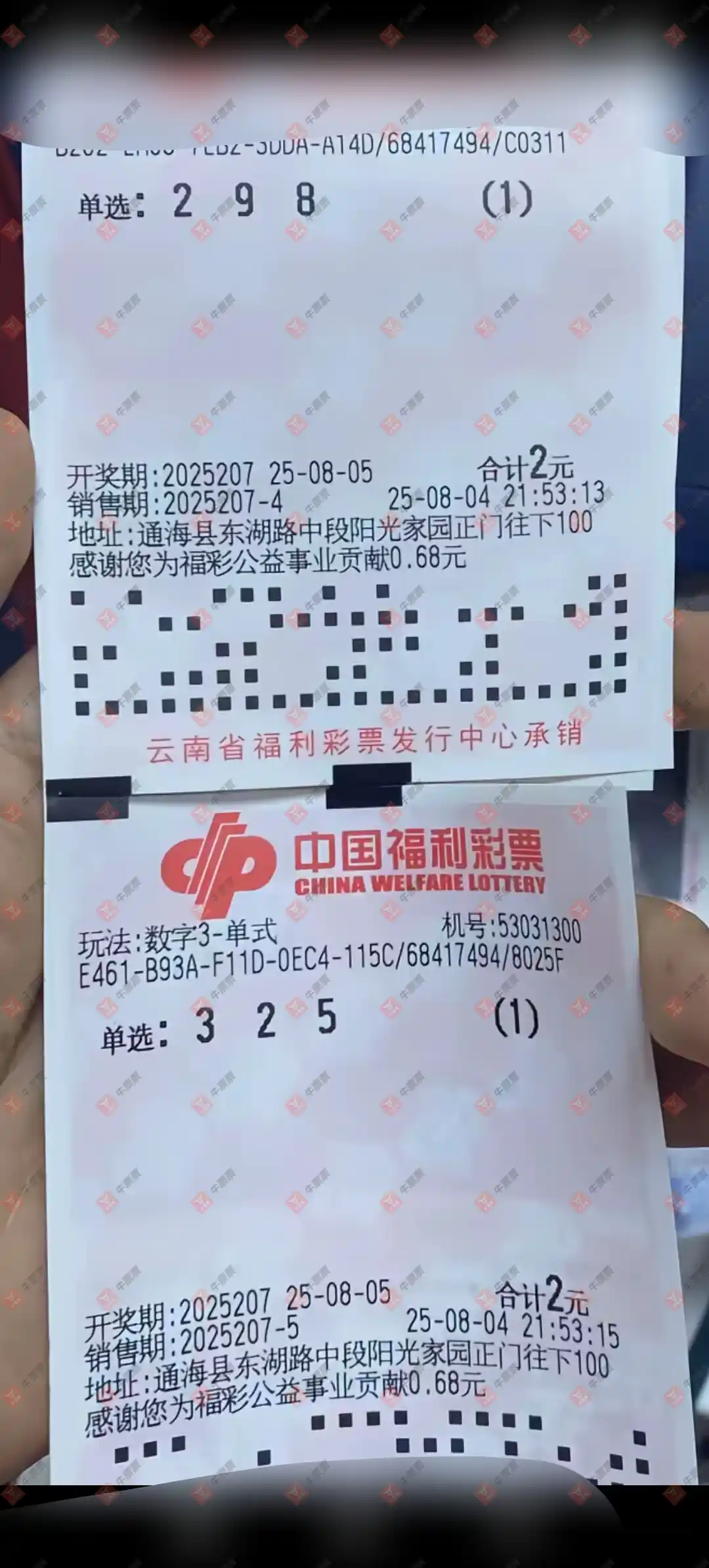 牛票票
