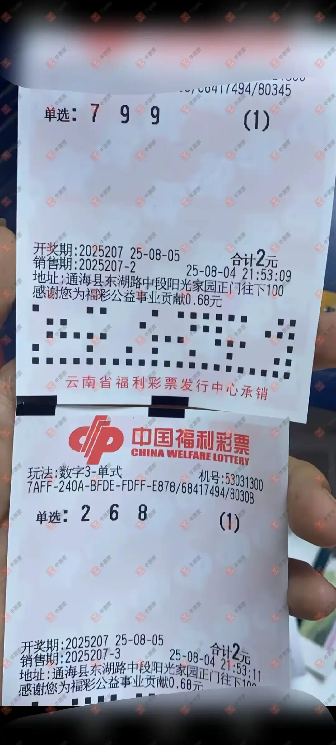 牛票票