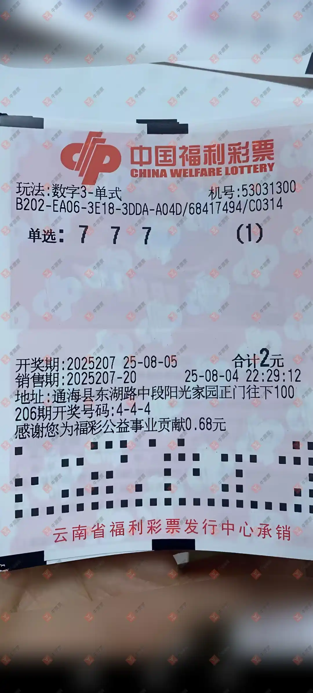 牛票票