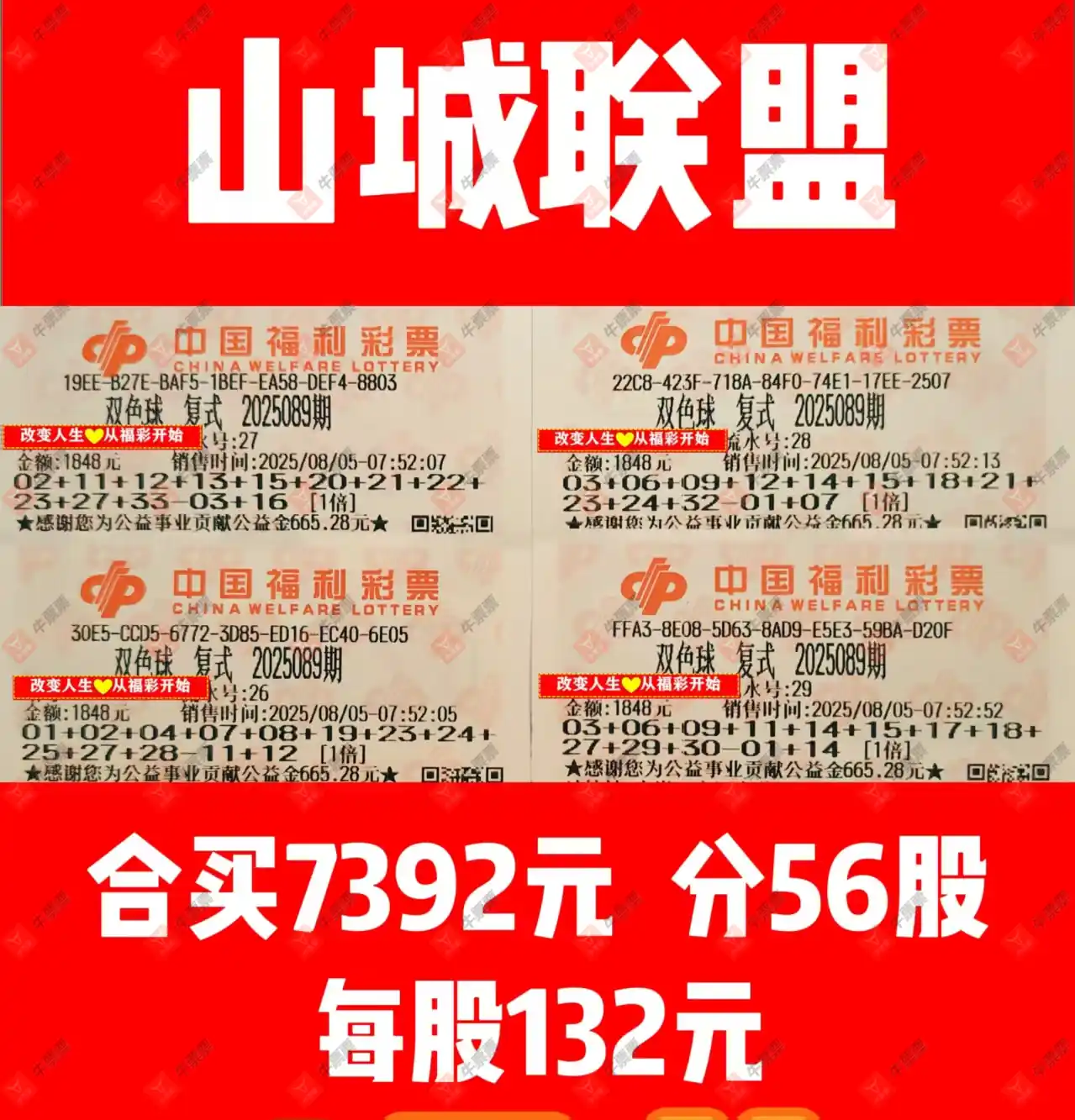 牛票票