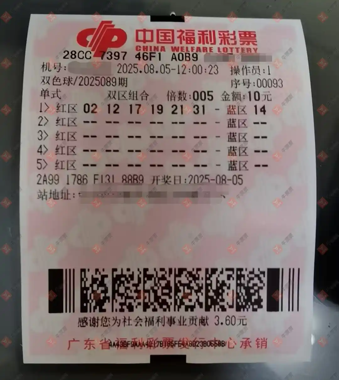 牛票票