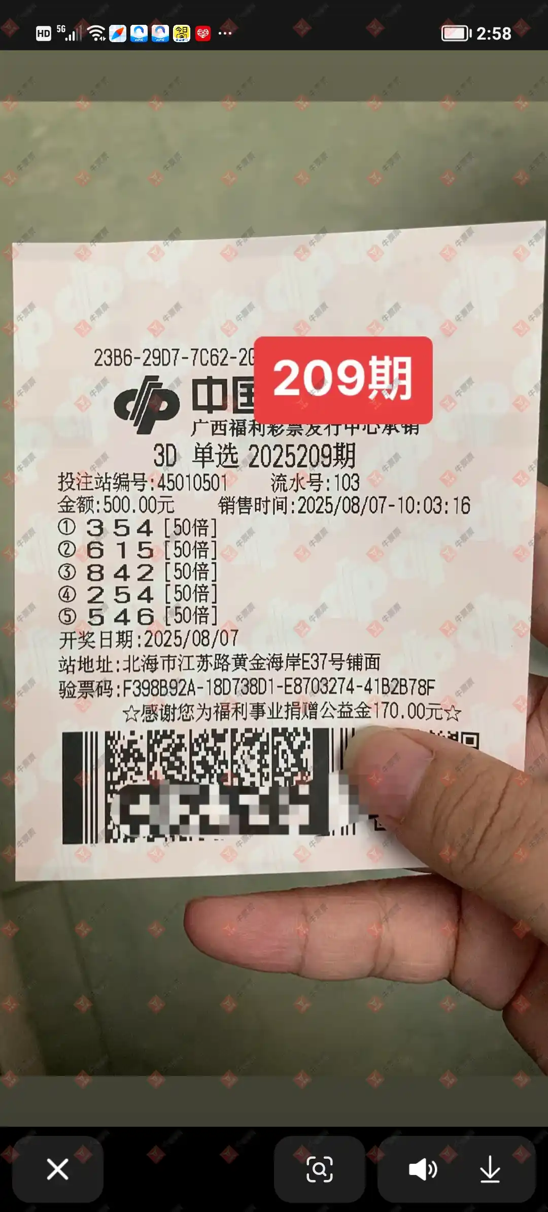 牛票票