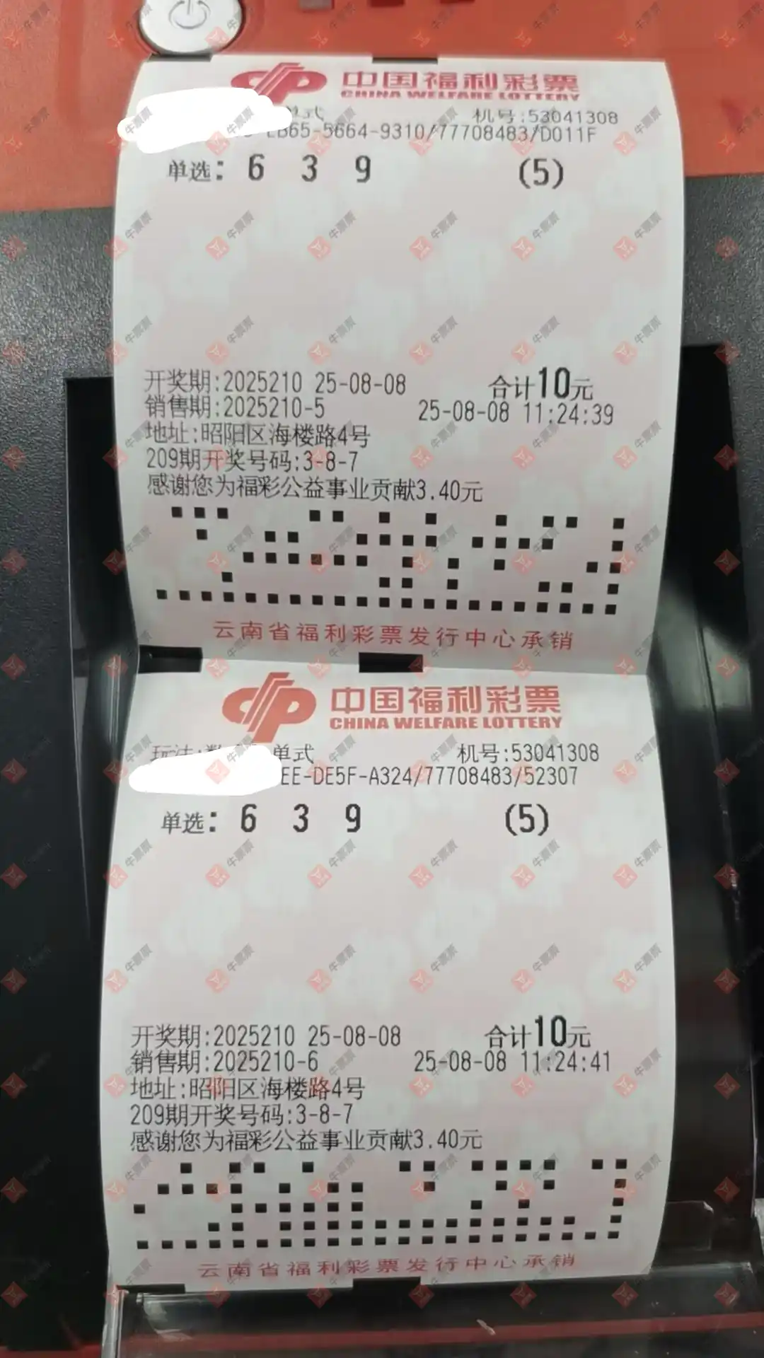 牛票票