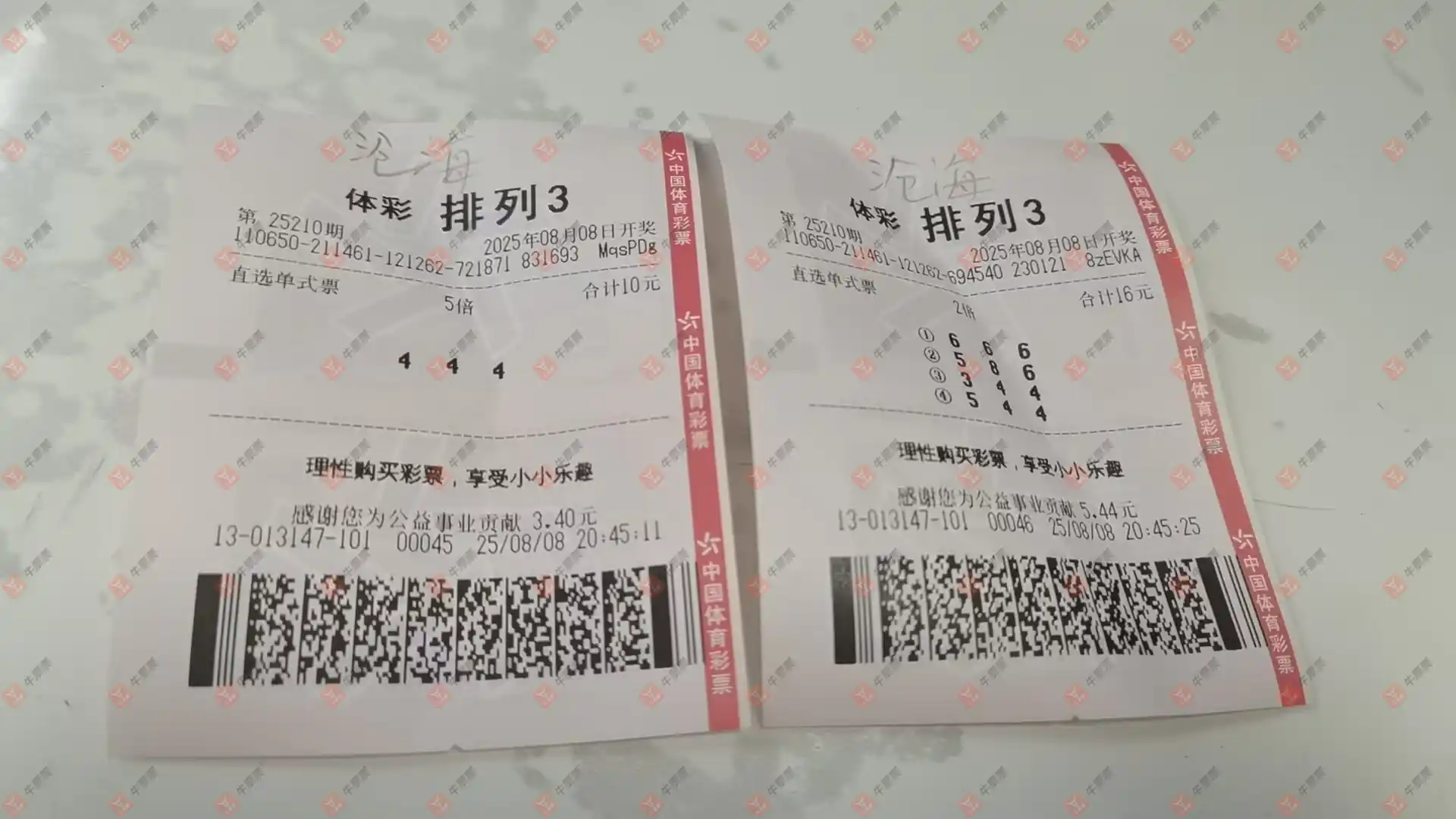 牛票票