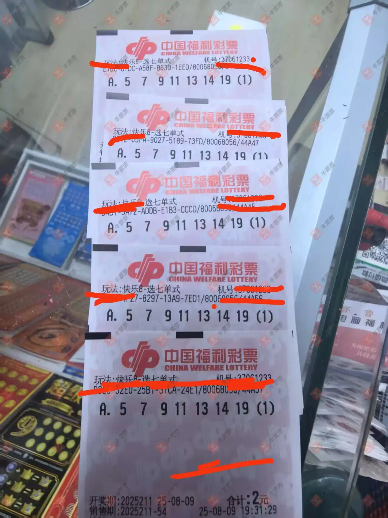 牛票票