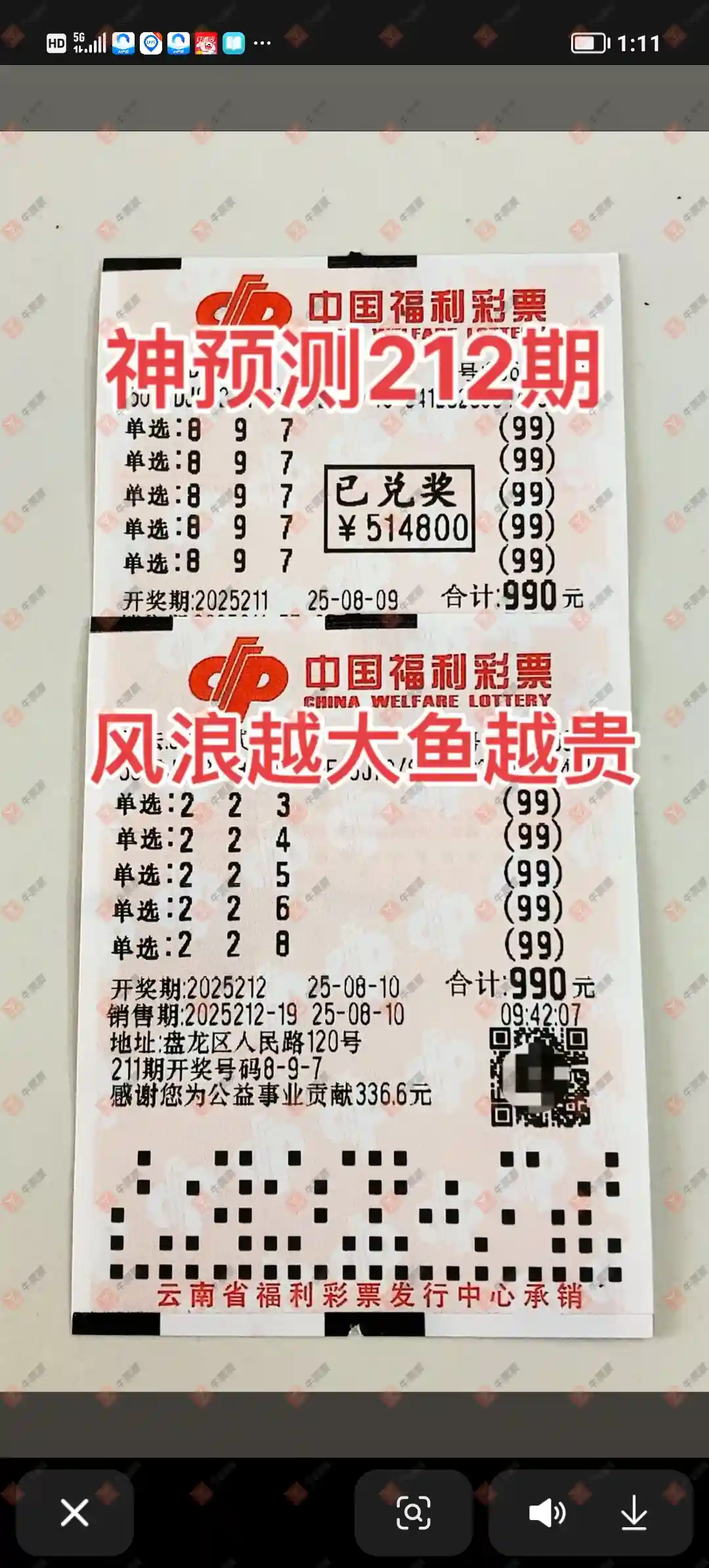 牛票票