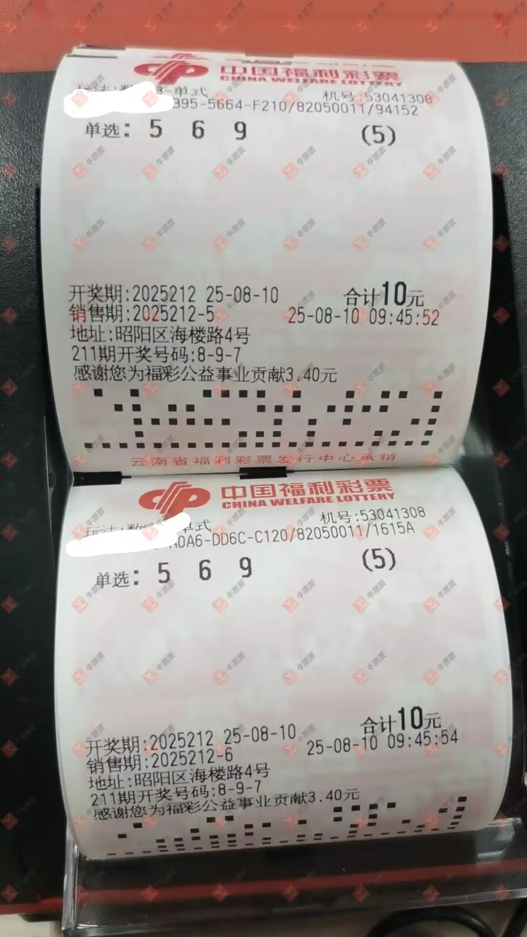 牛票票