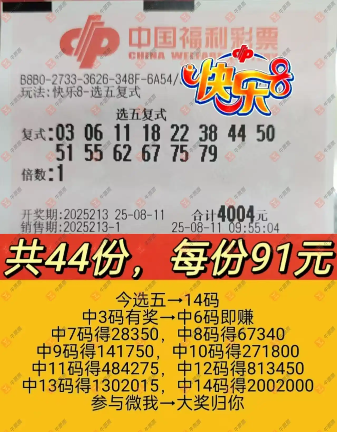 牛票票
