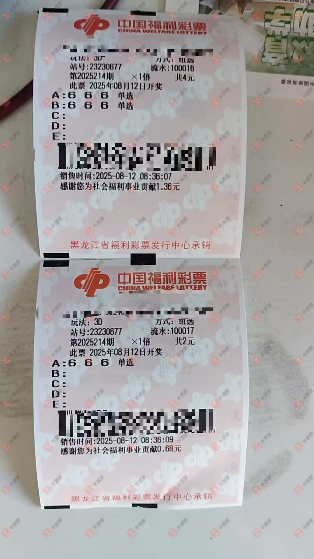 牛票票