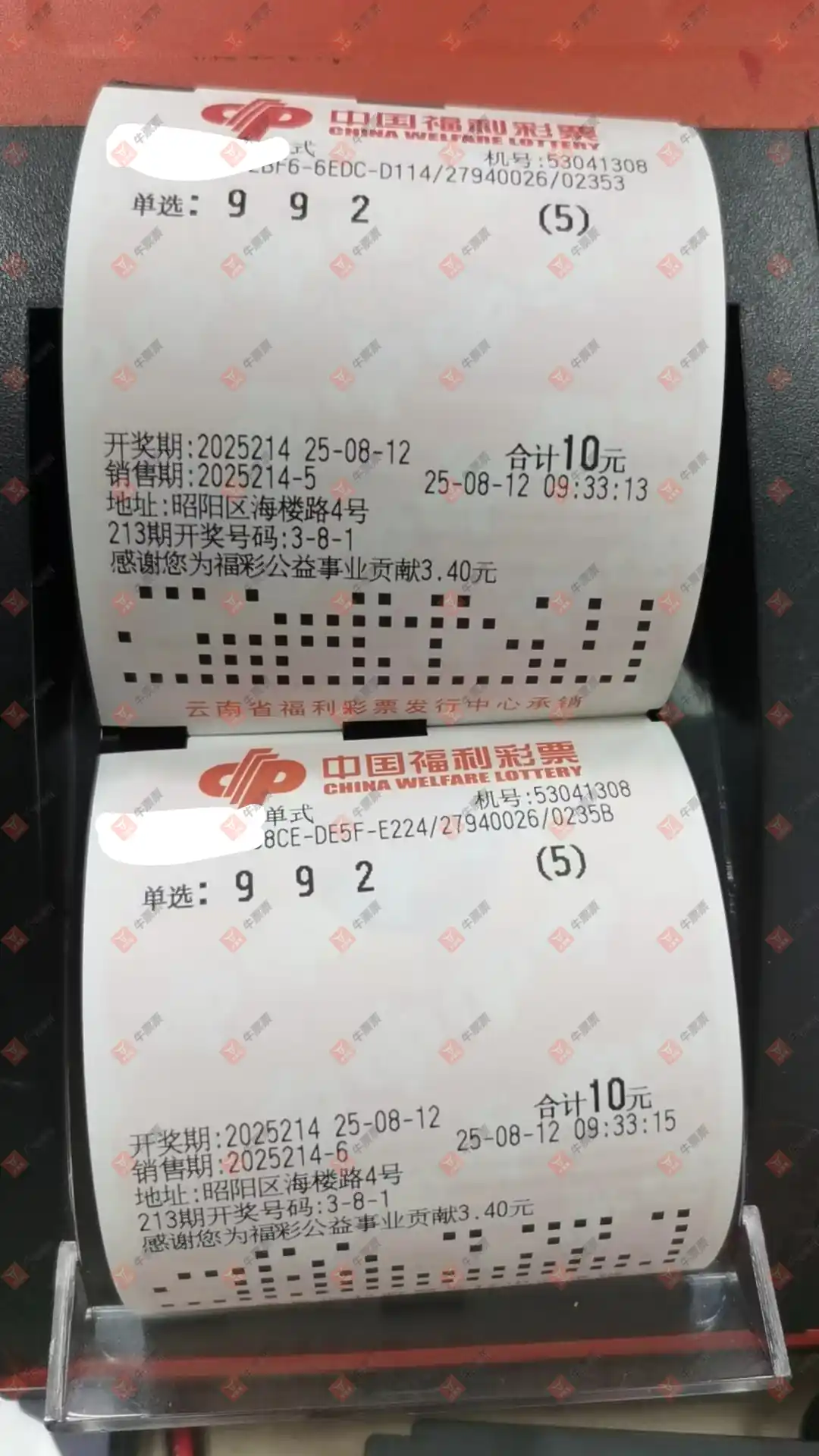 牛票票