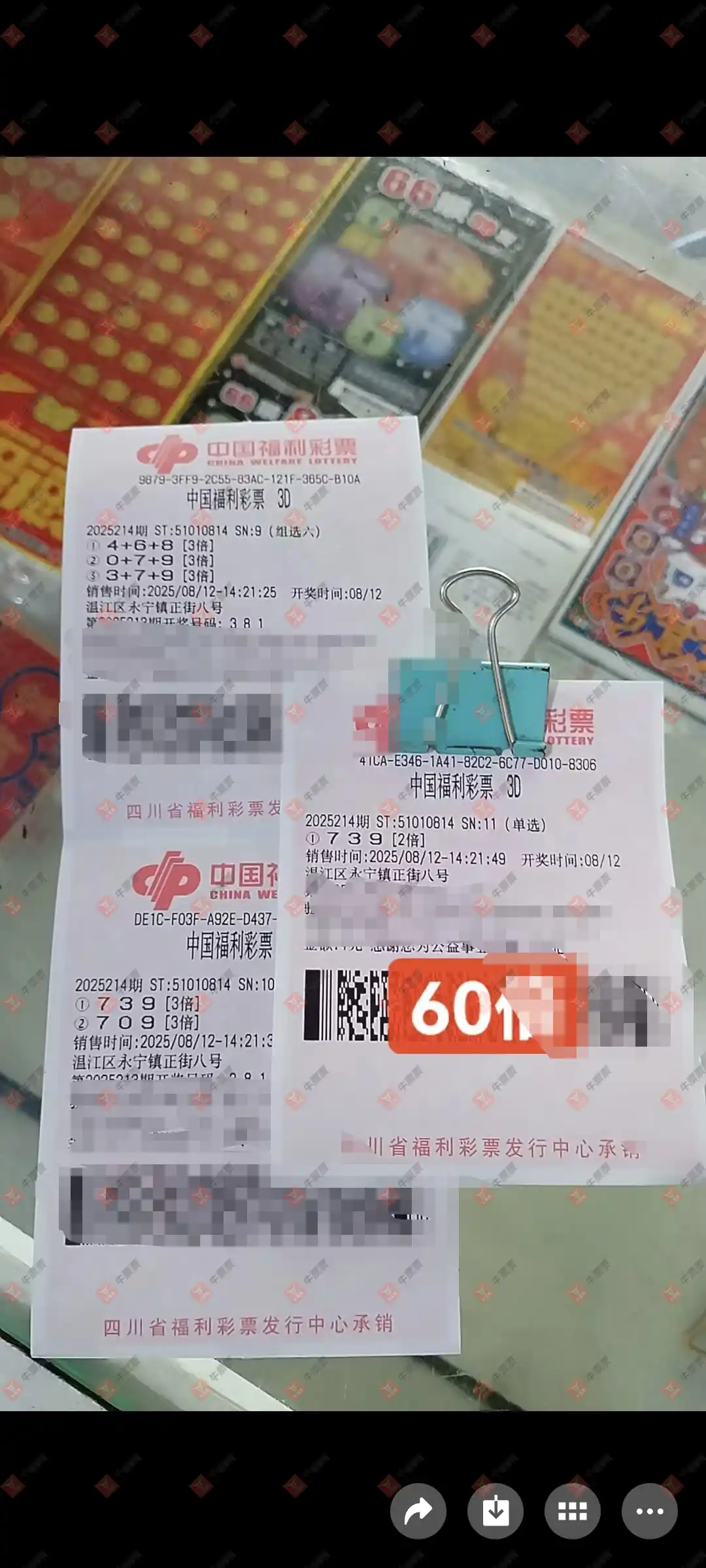 牛票票