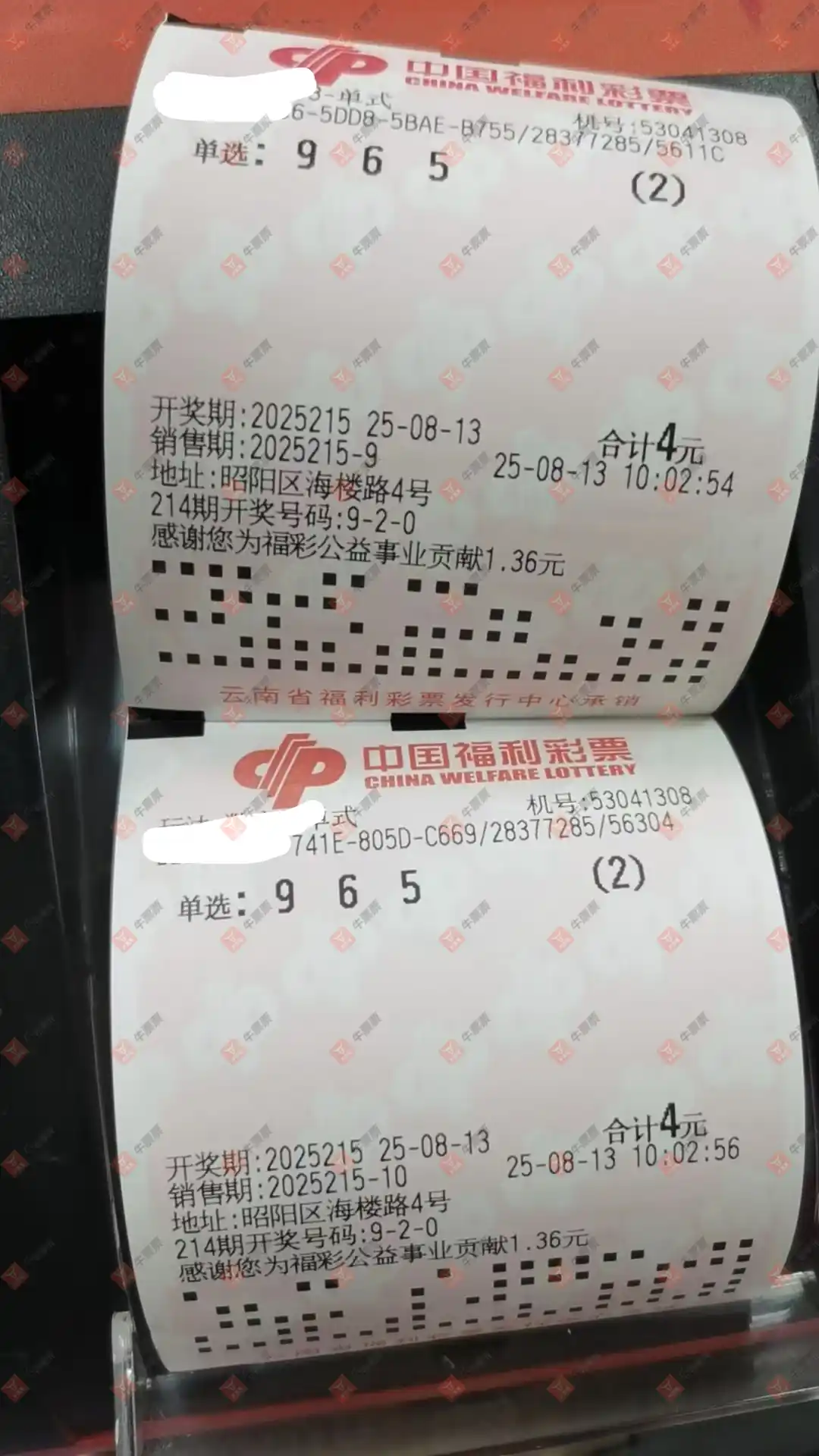 牛票票