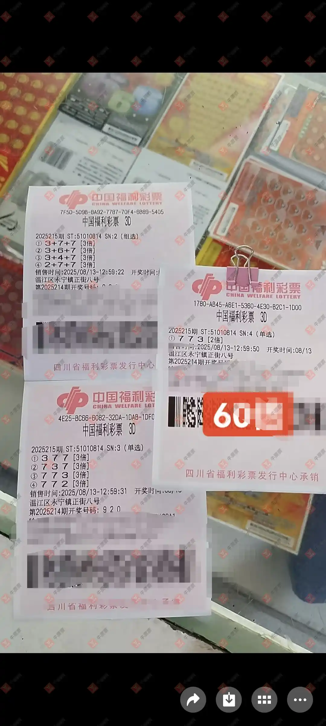 牛票票
