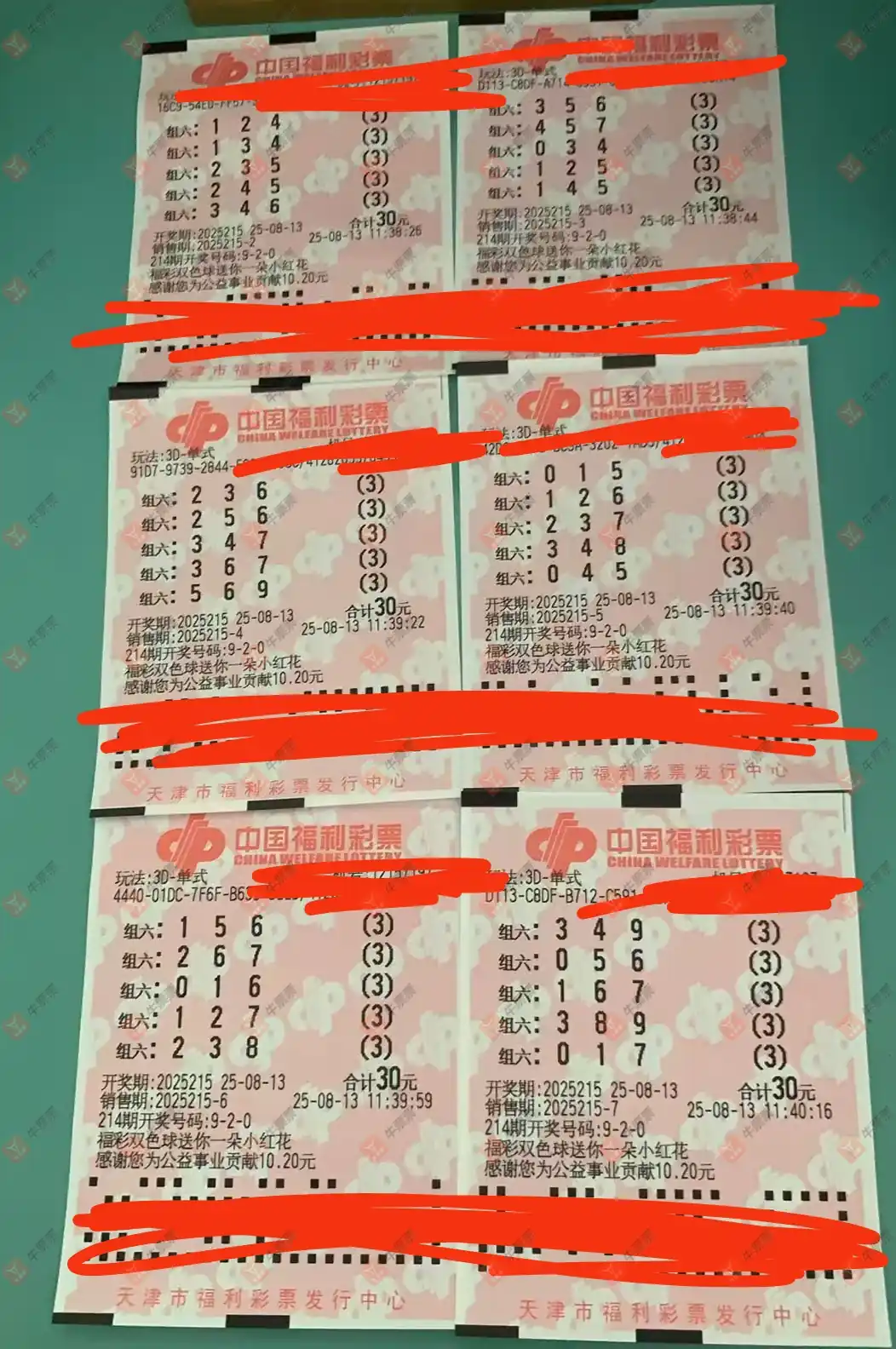 牛票票