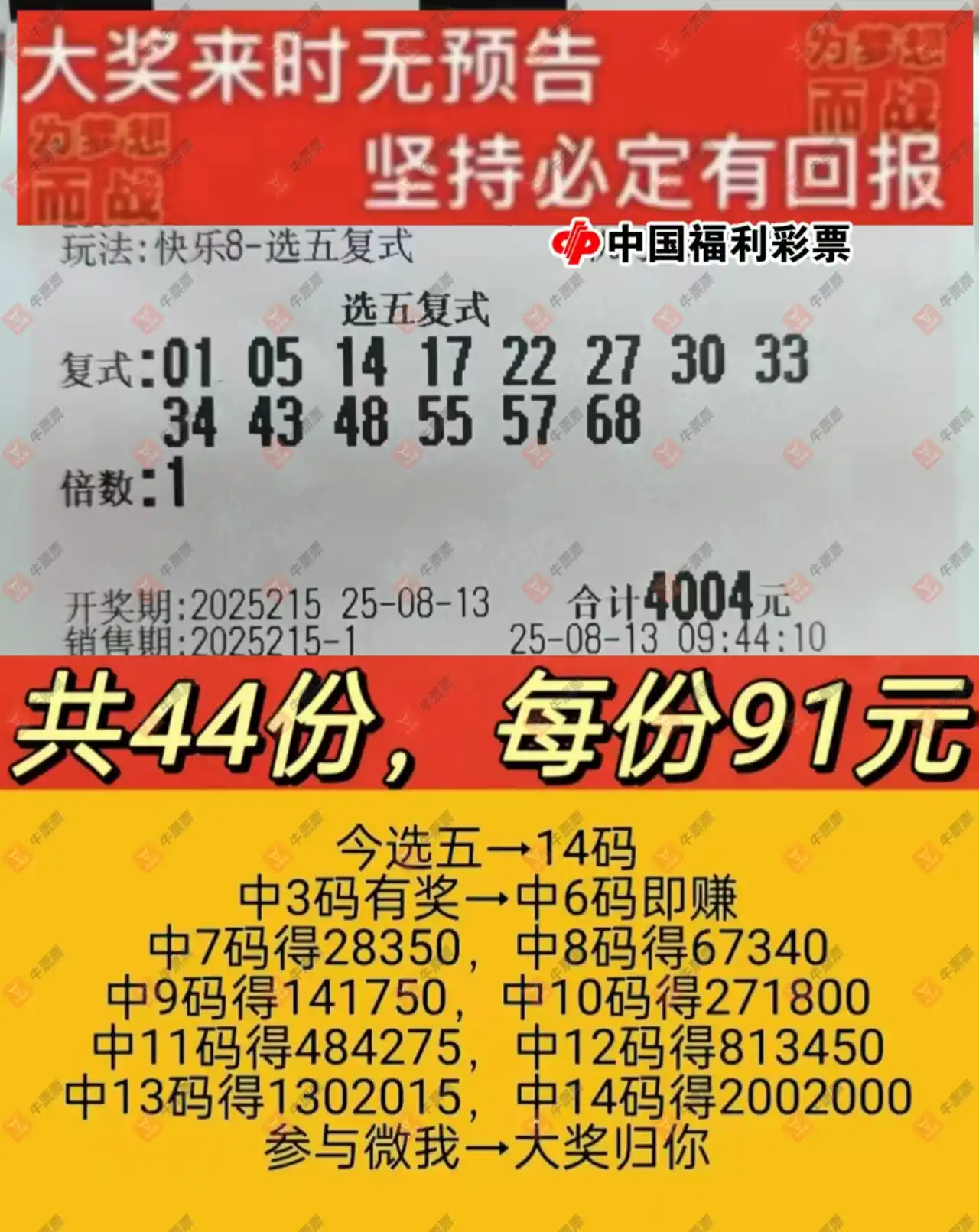 牛票票