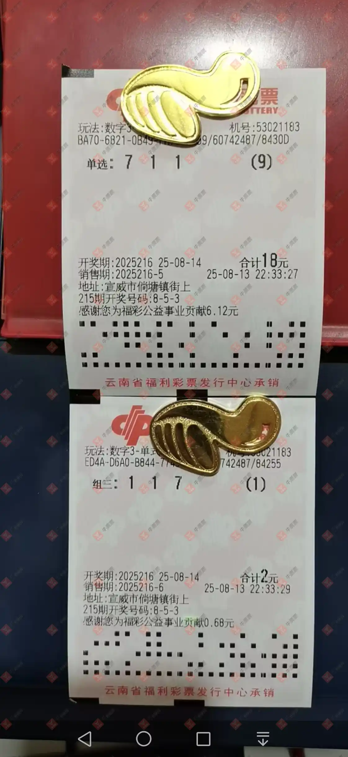 牛票票