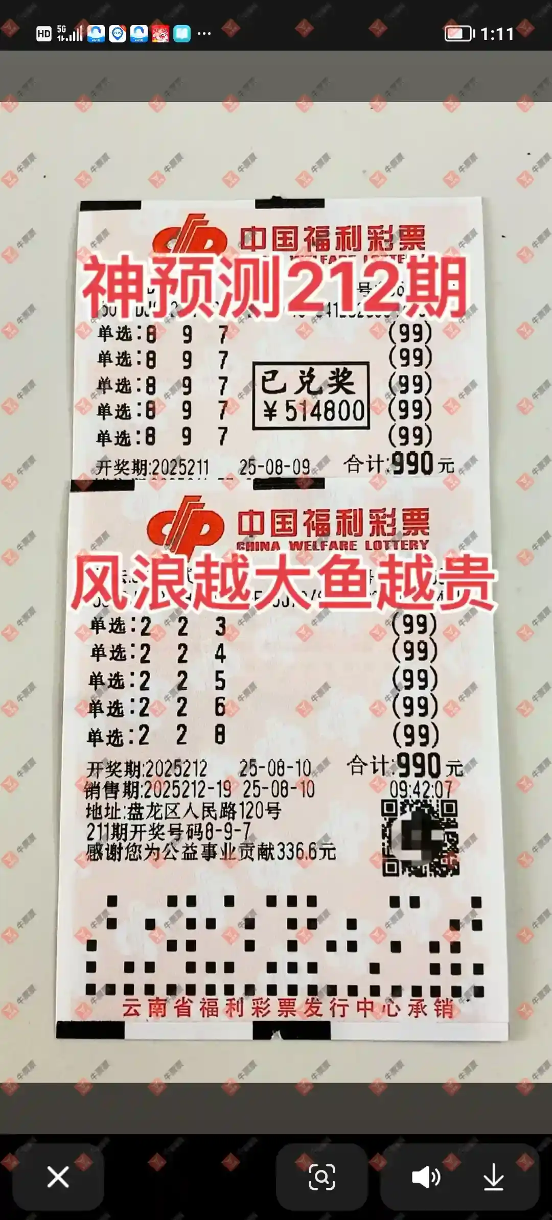 牛票票