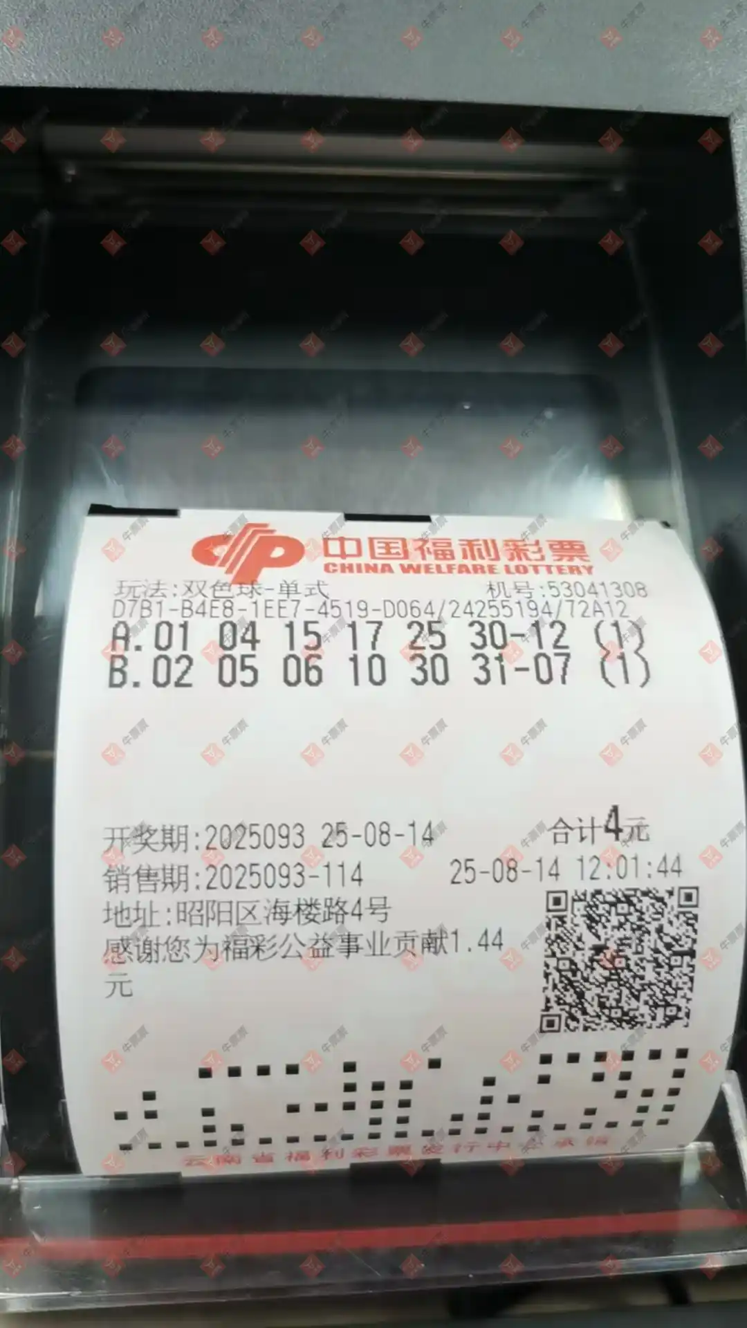 牛票票