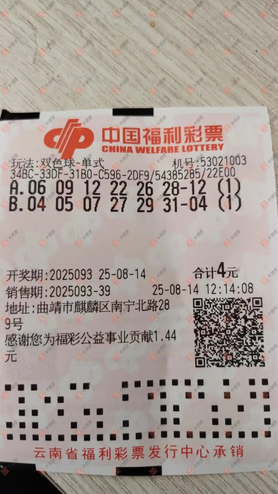 牛票票