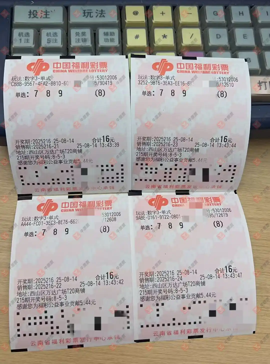 牛票票