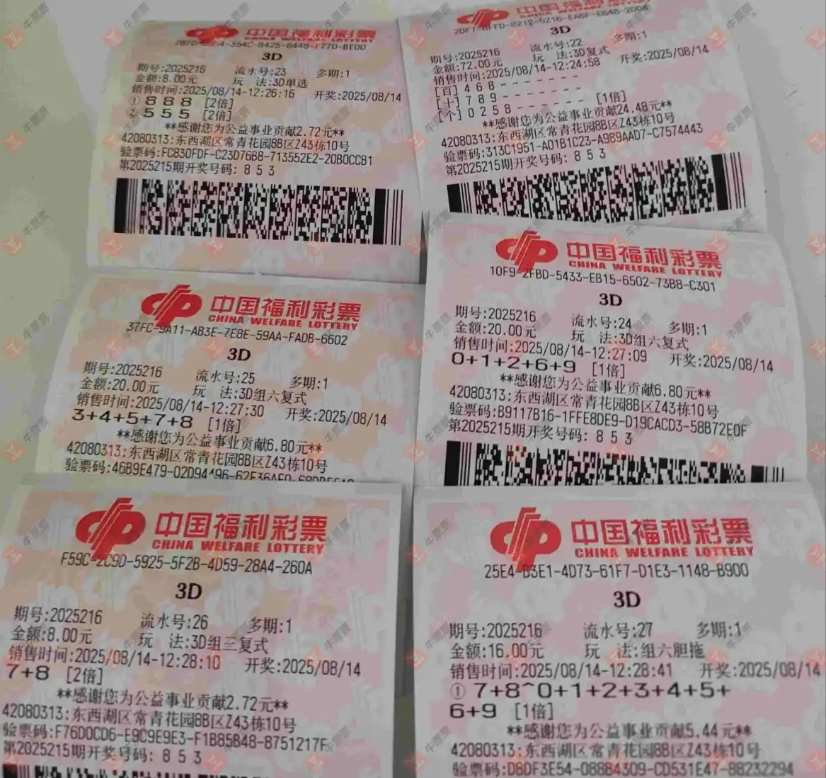 牛票票
