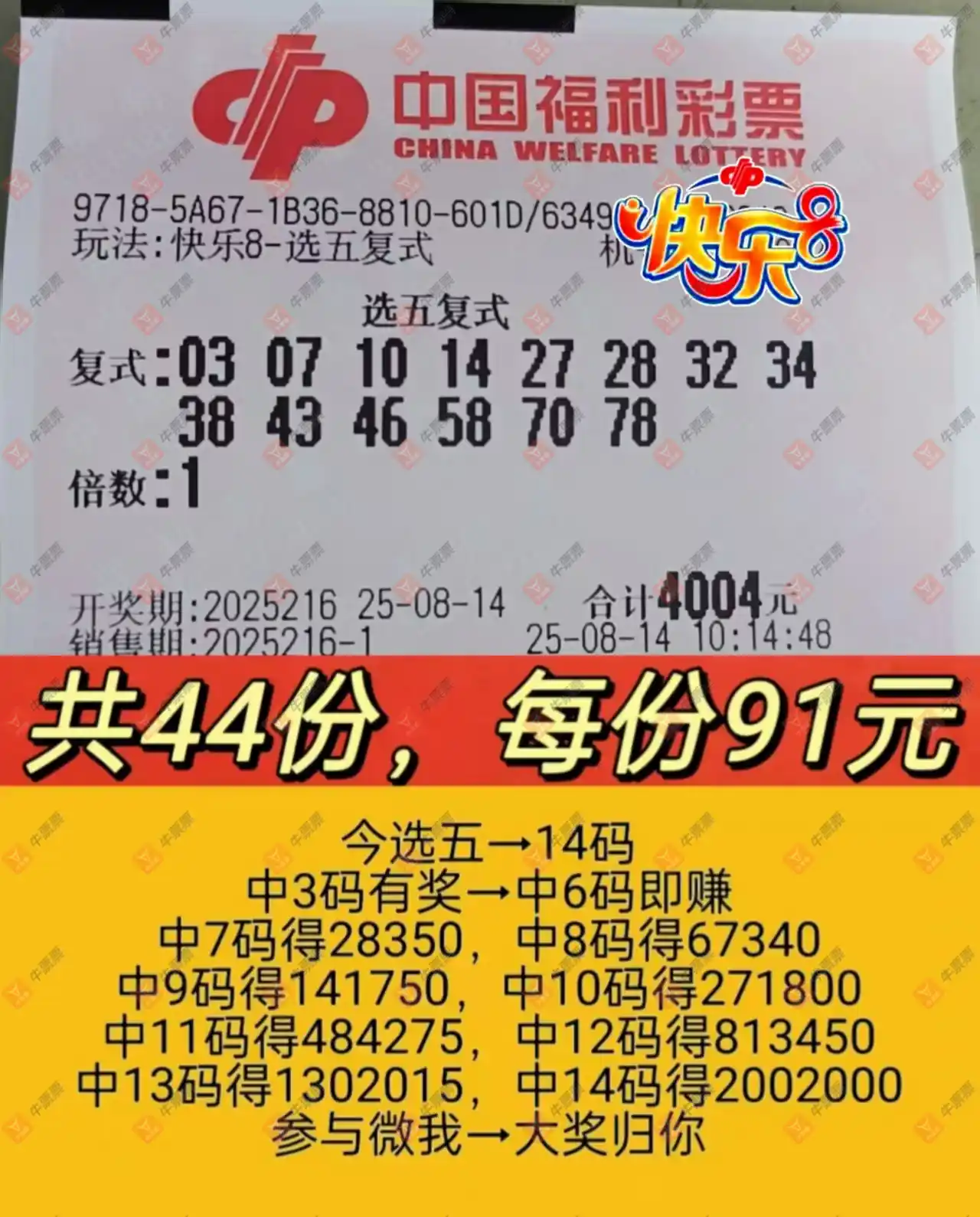 牛票票
