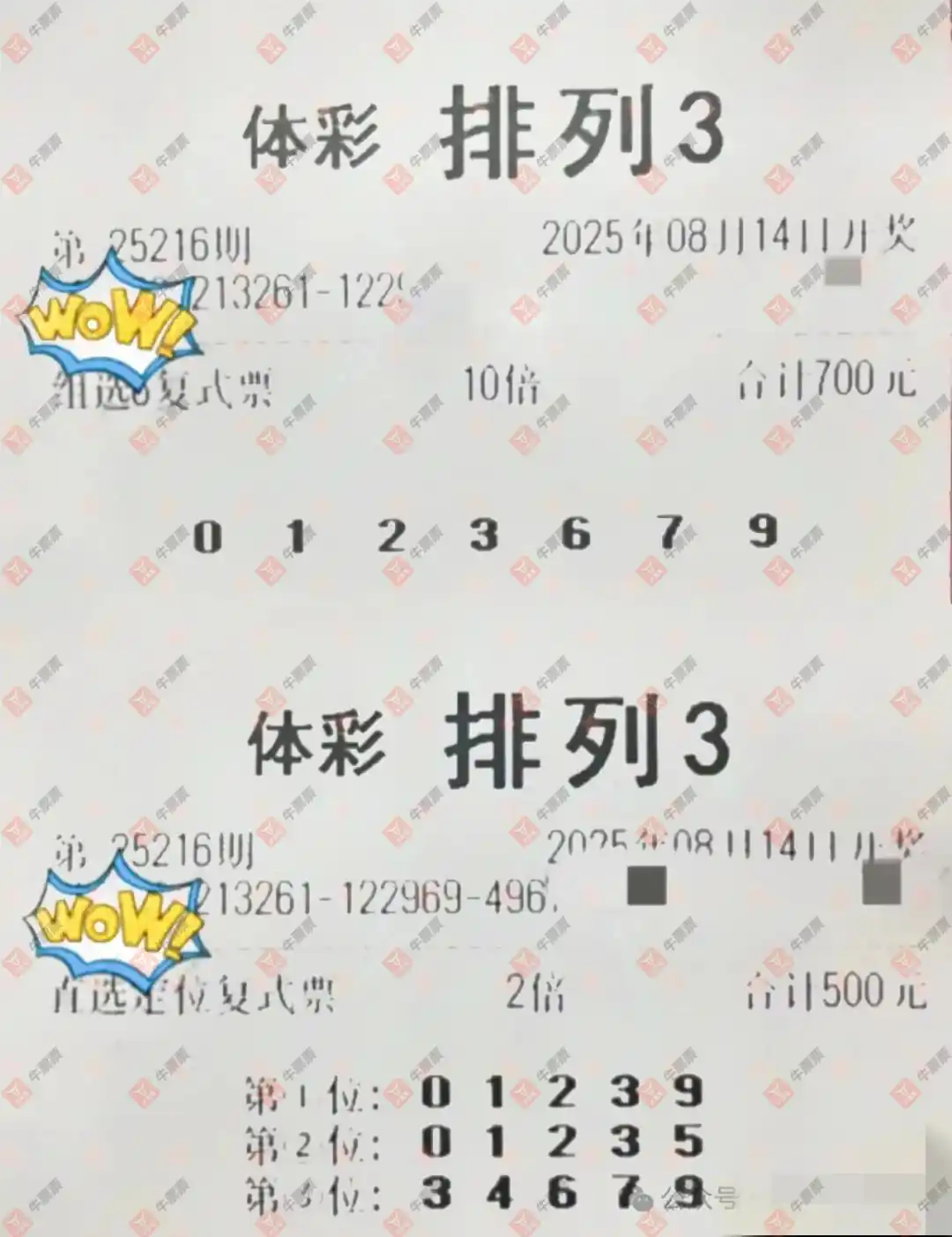 牛票票