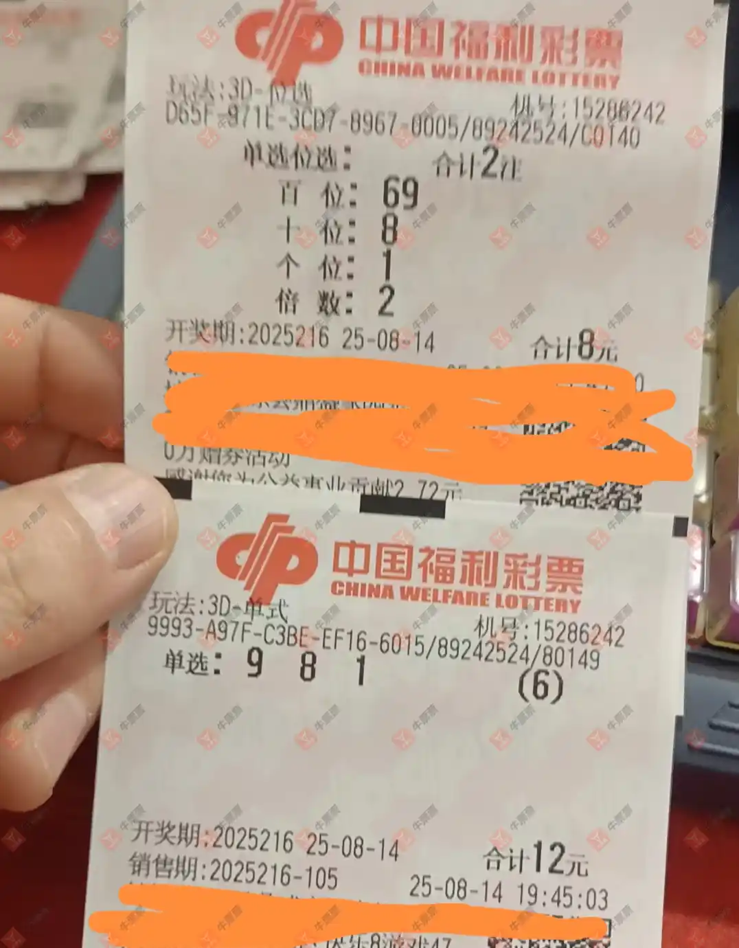 牛票票