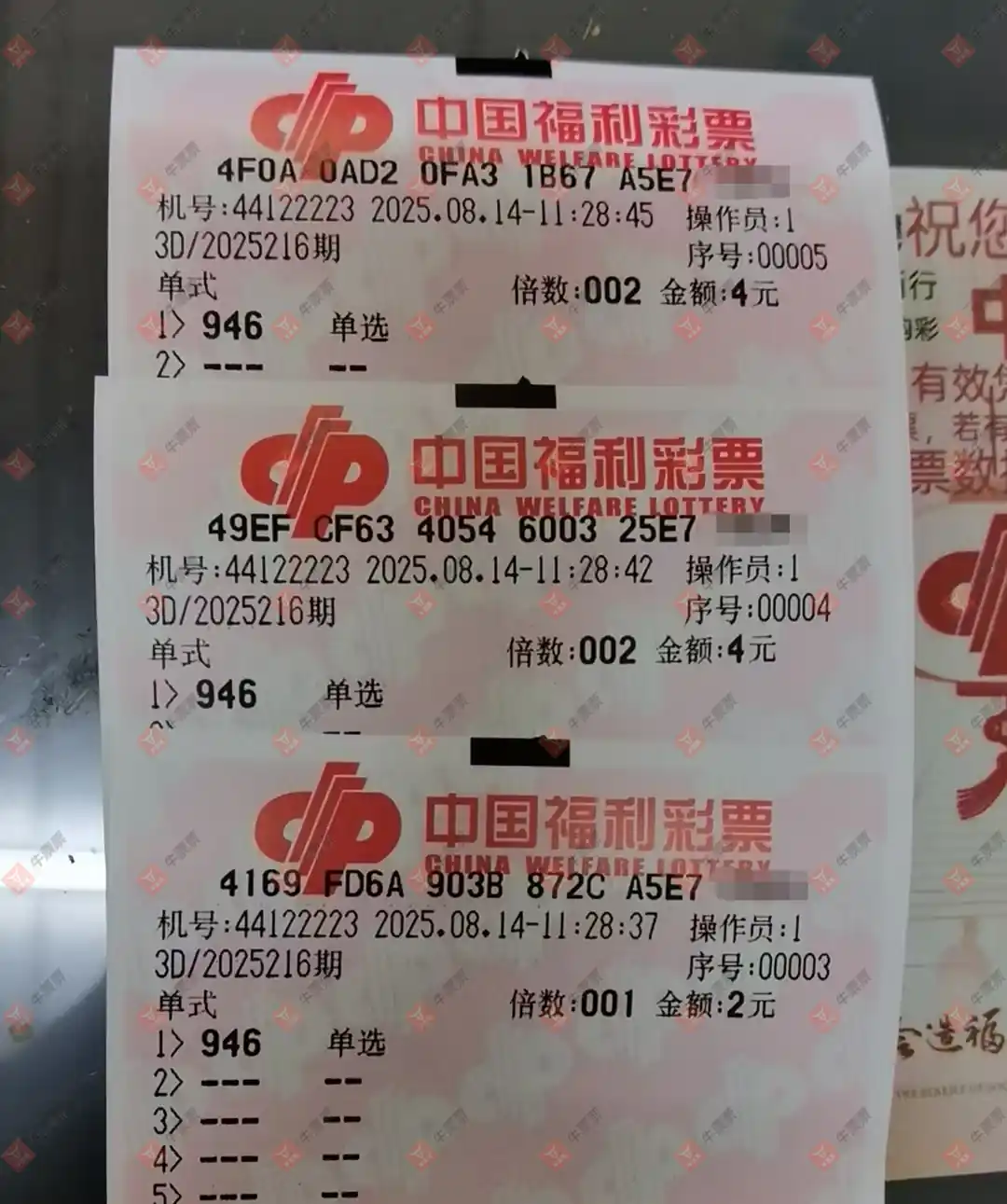 牛票票
