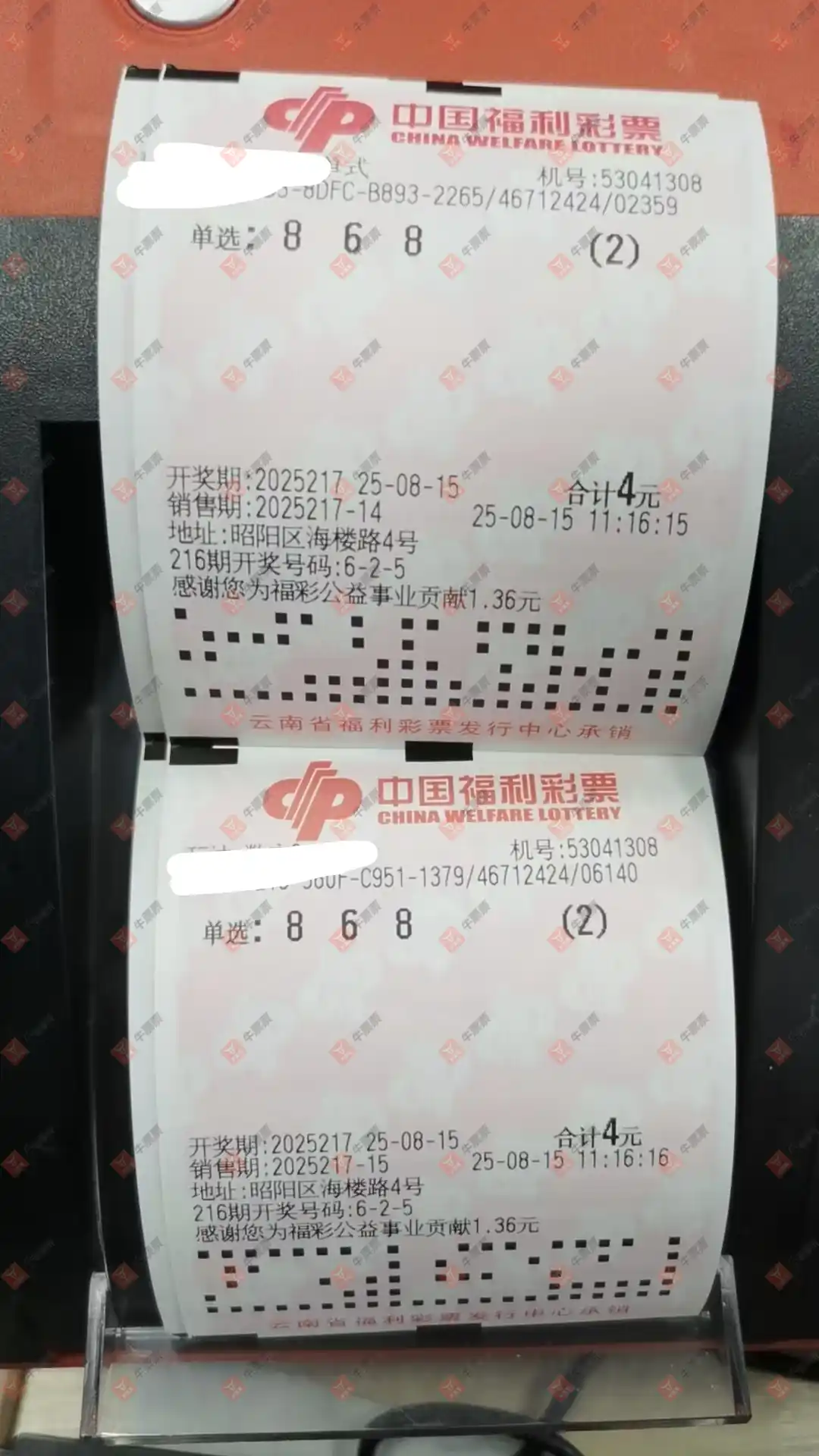 牛票票